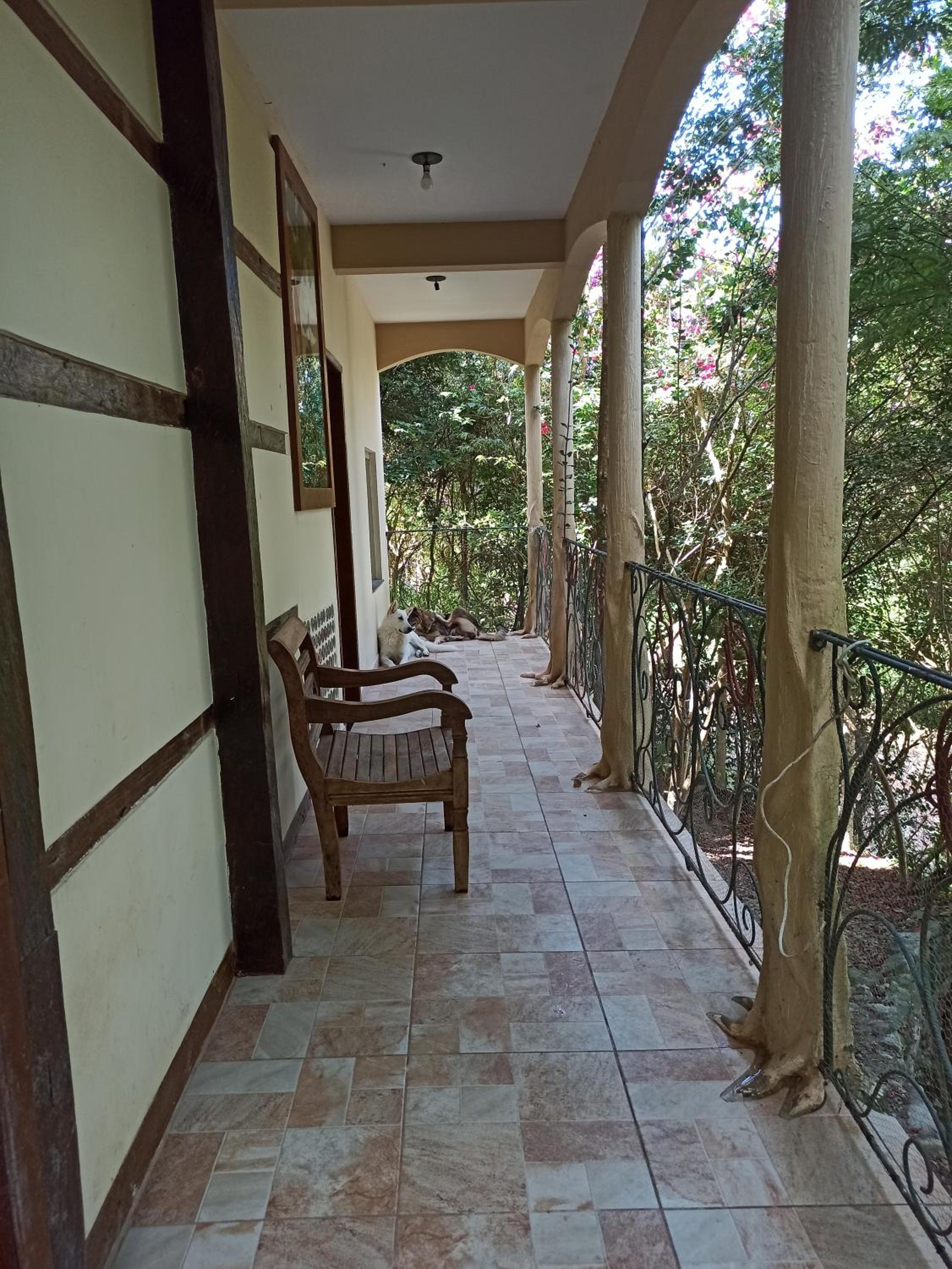 CASA DA MATA descanso e sossego na natureza