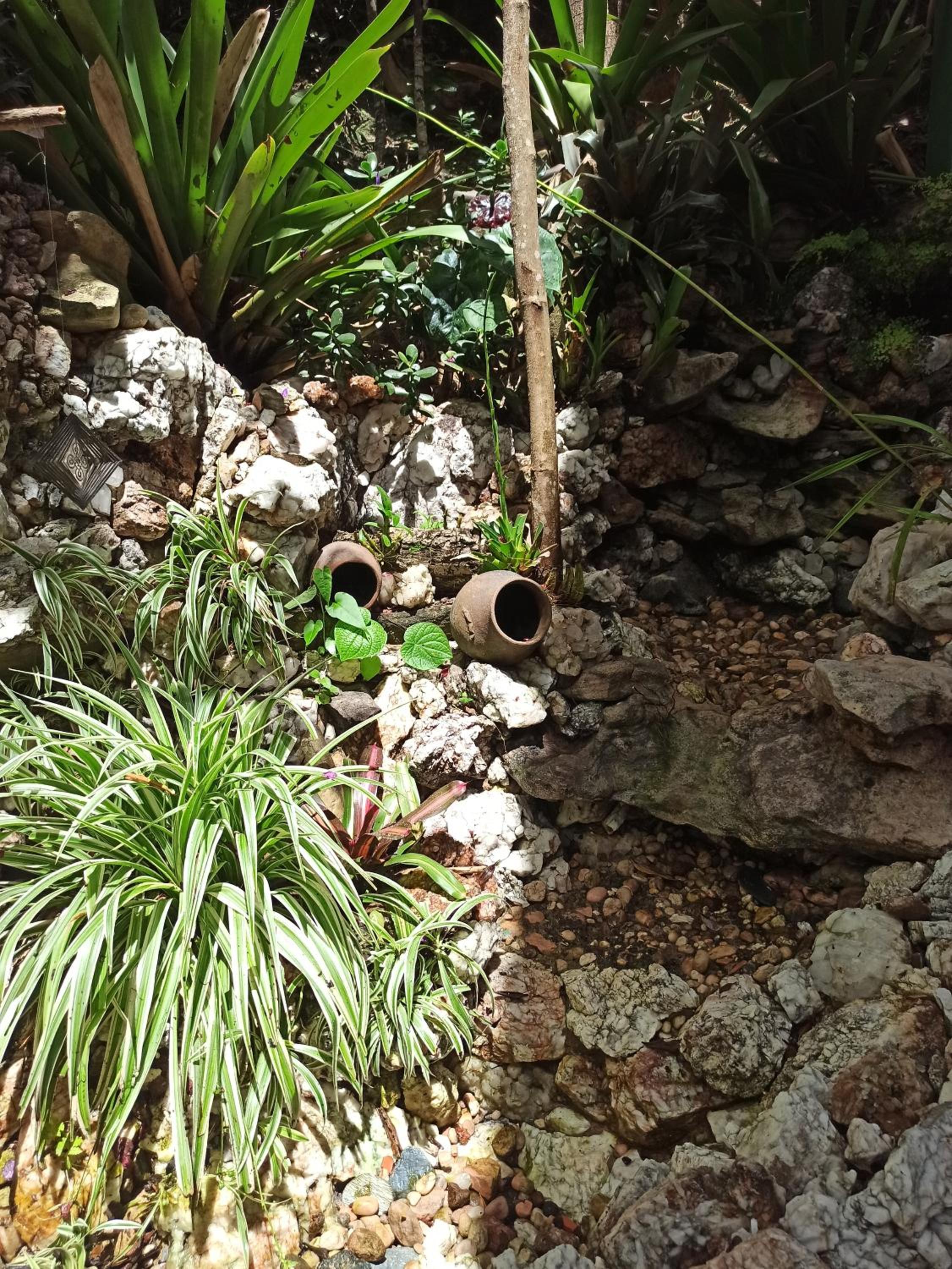 CASA DA MATA descanso e sossego na natureza