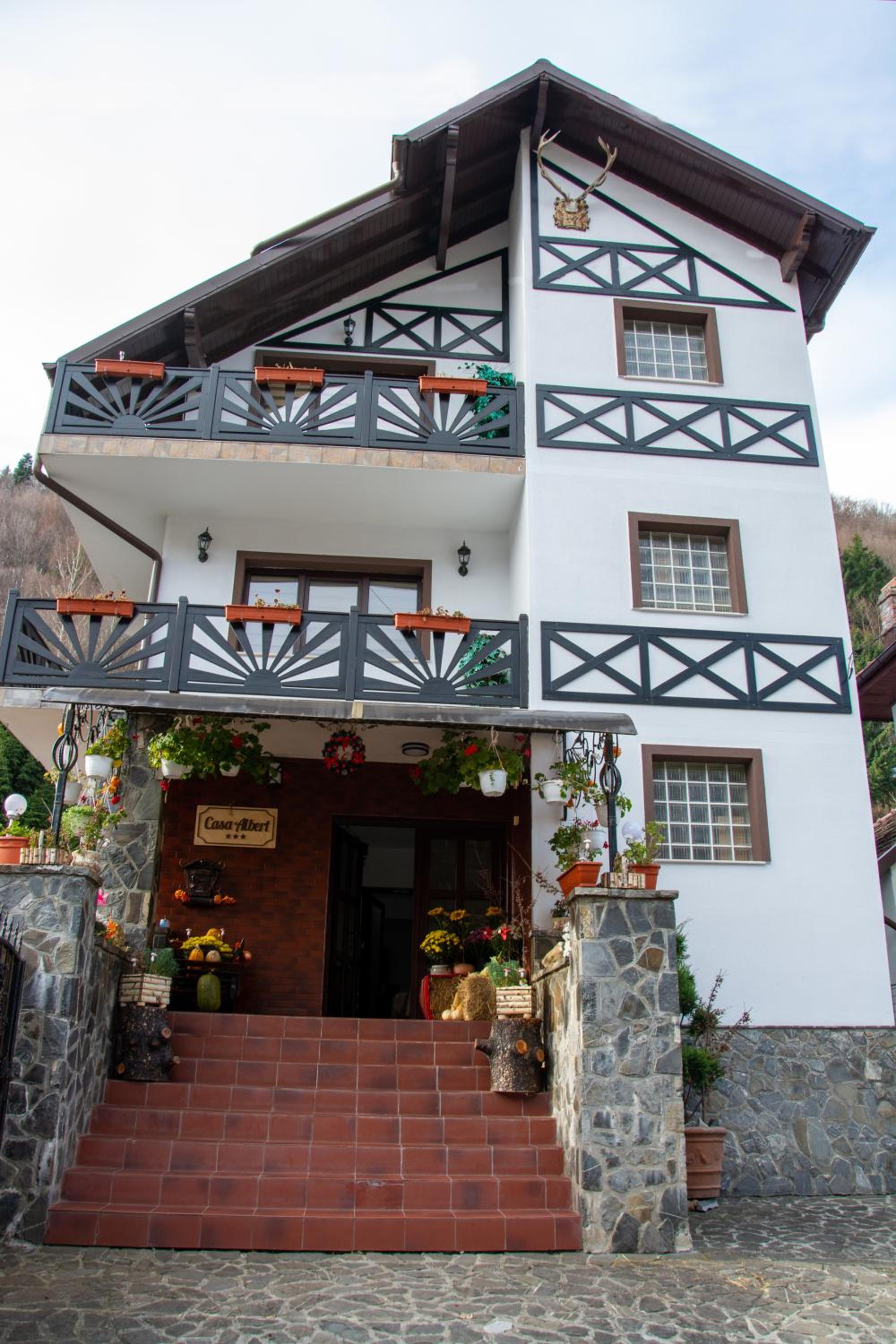 Casa Albert Sinaia view 5