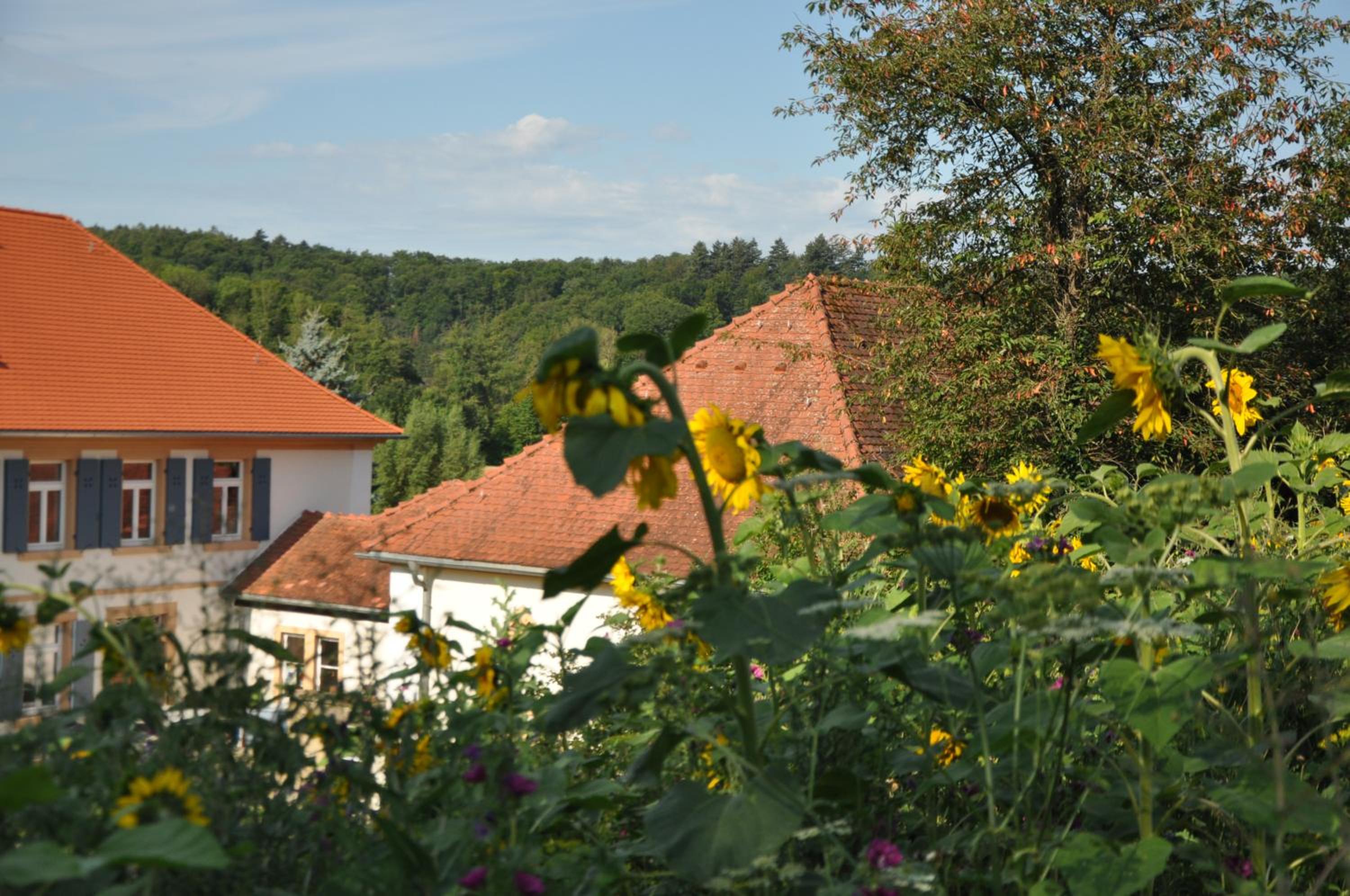 Ferienwohnung Altes Pfarrhaus Bargen view 5