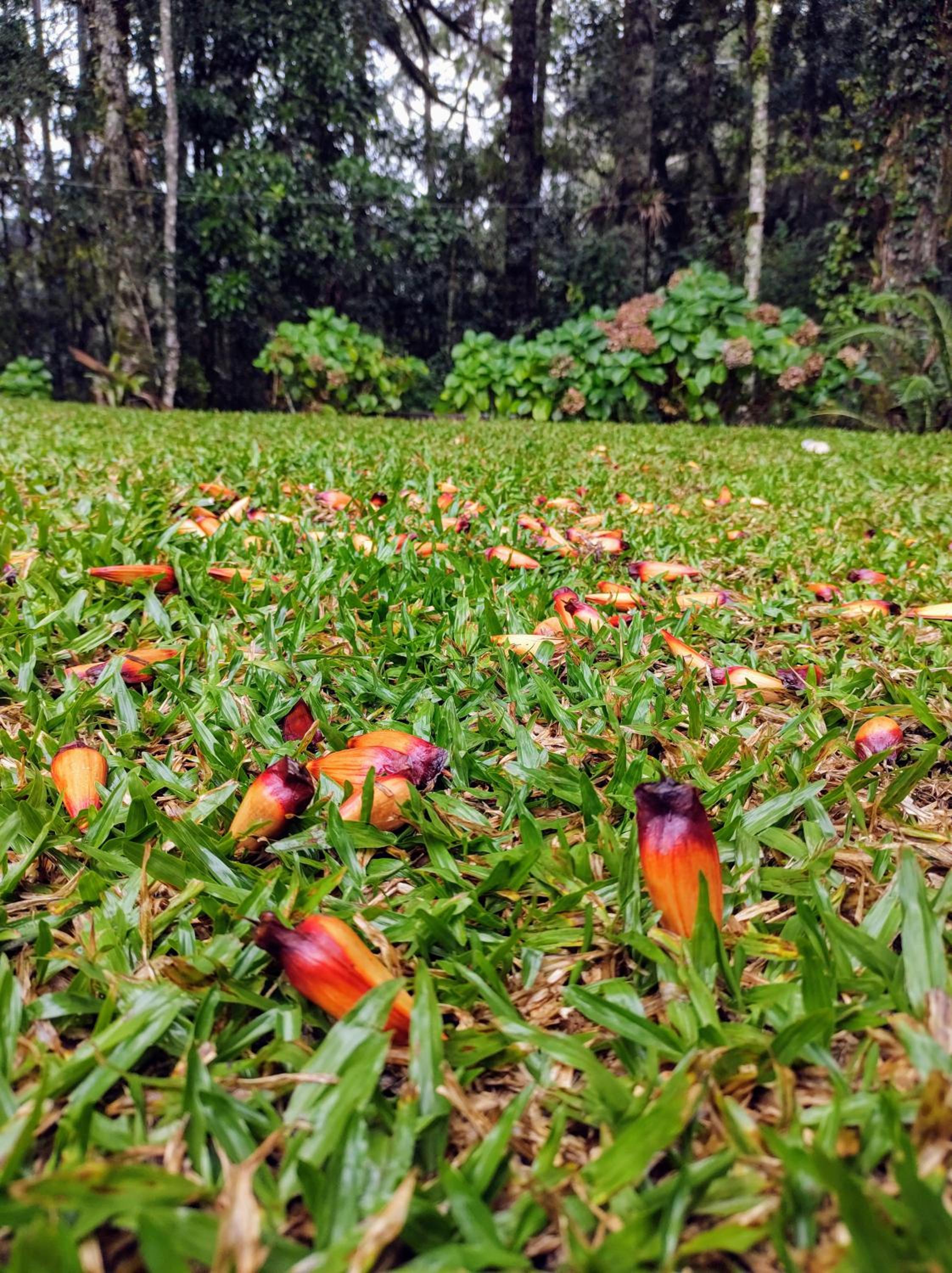 Viver a Natureza