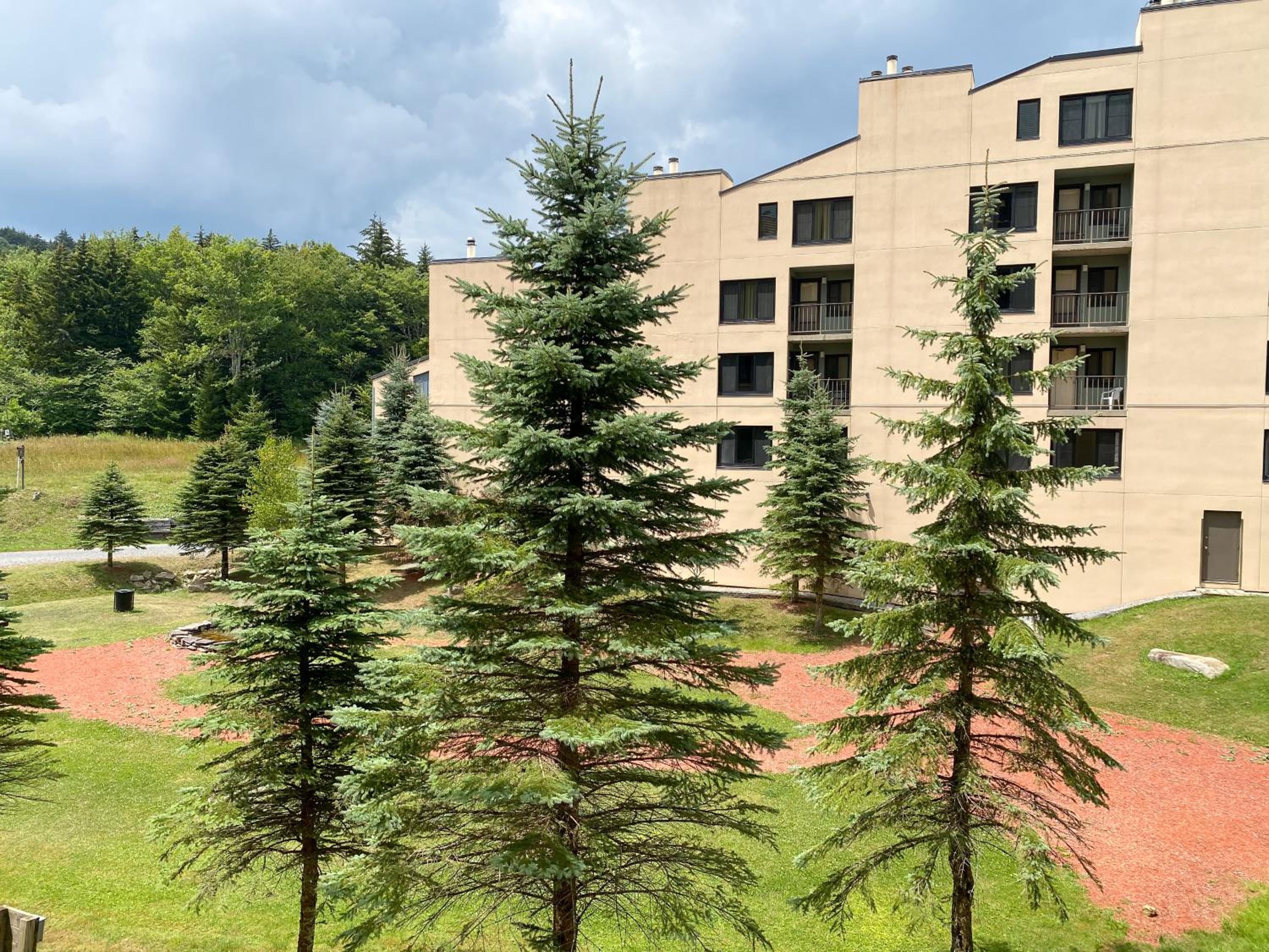 Hotel Ski-In Ski-out Luxury Condo with Hot Tub and pools - Image 1