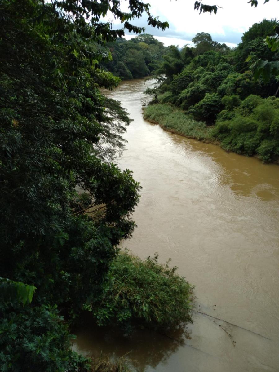 Photo 83