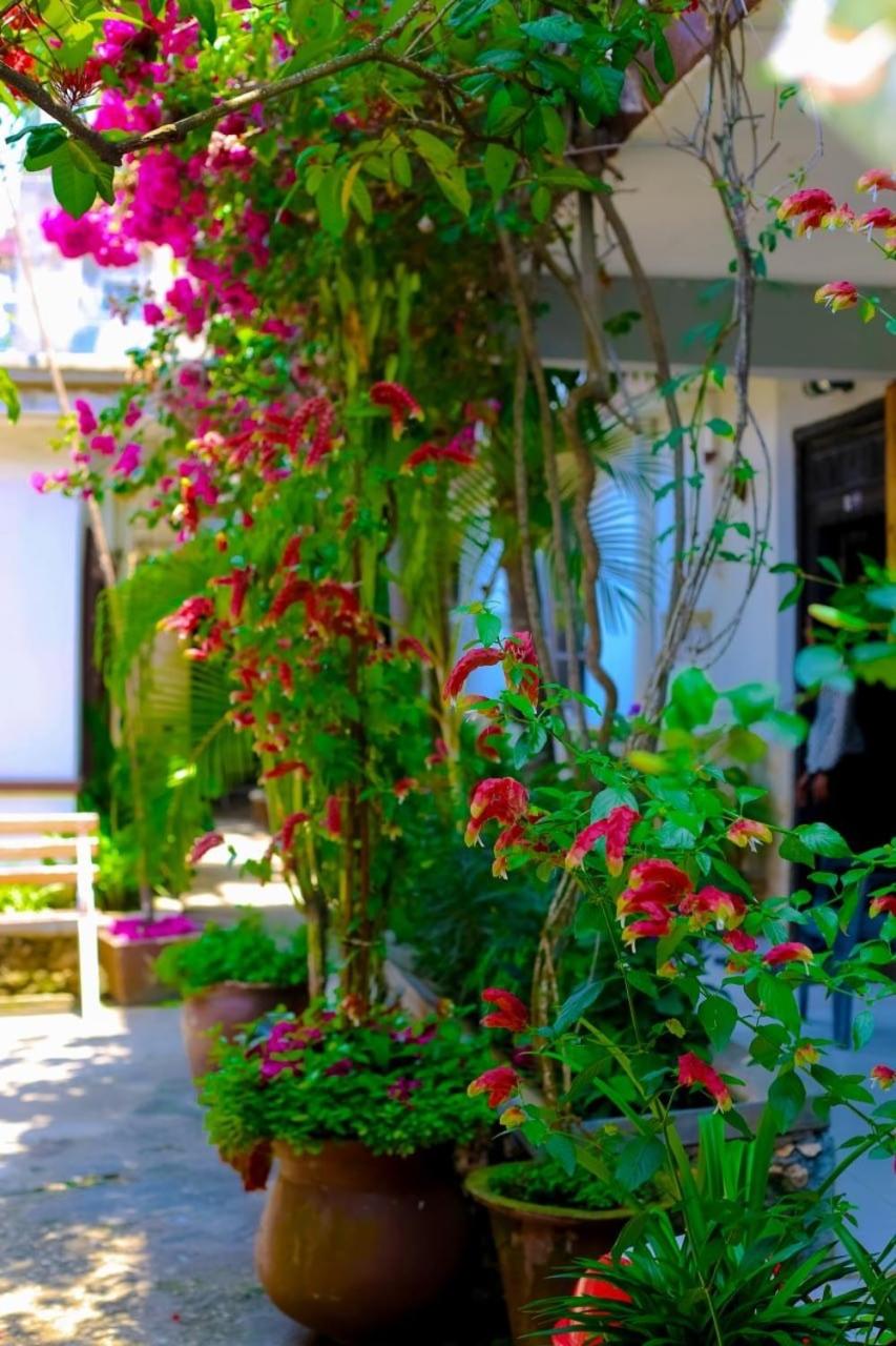 Garden Lodge