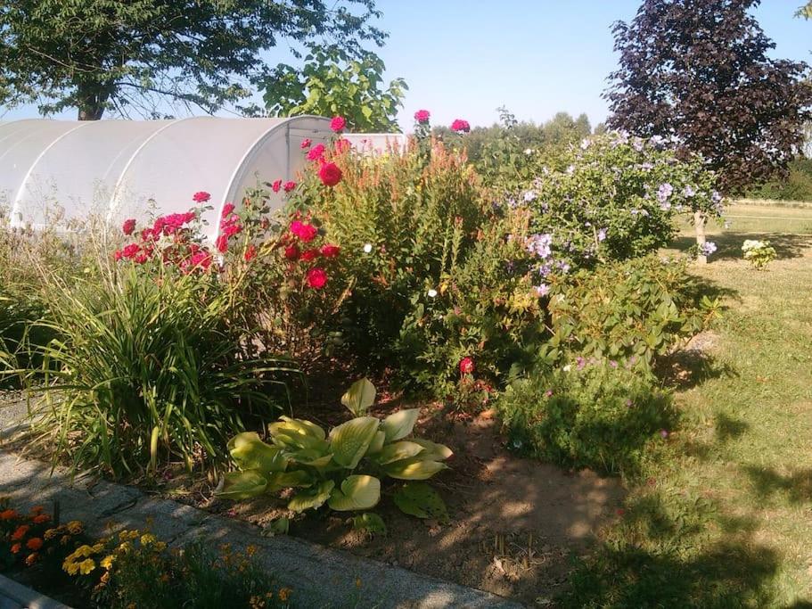 Gîte aux prés de mon père