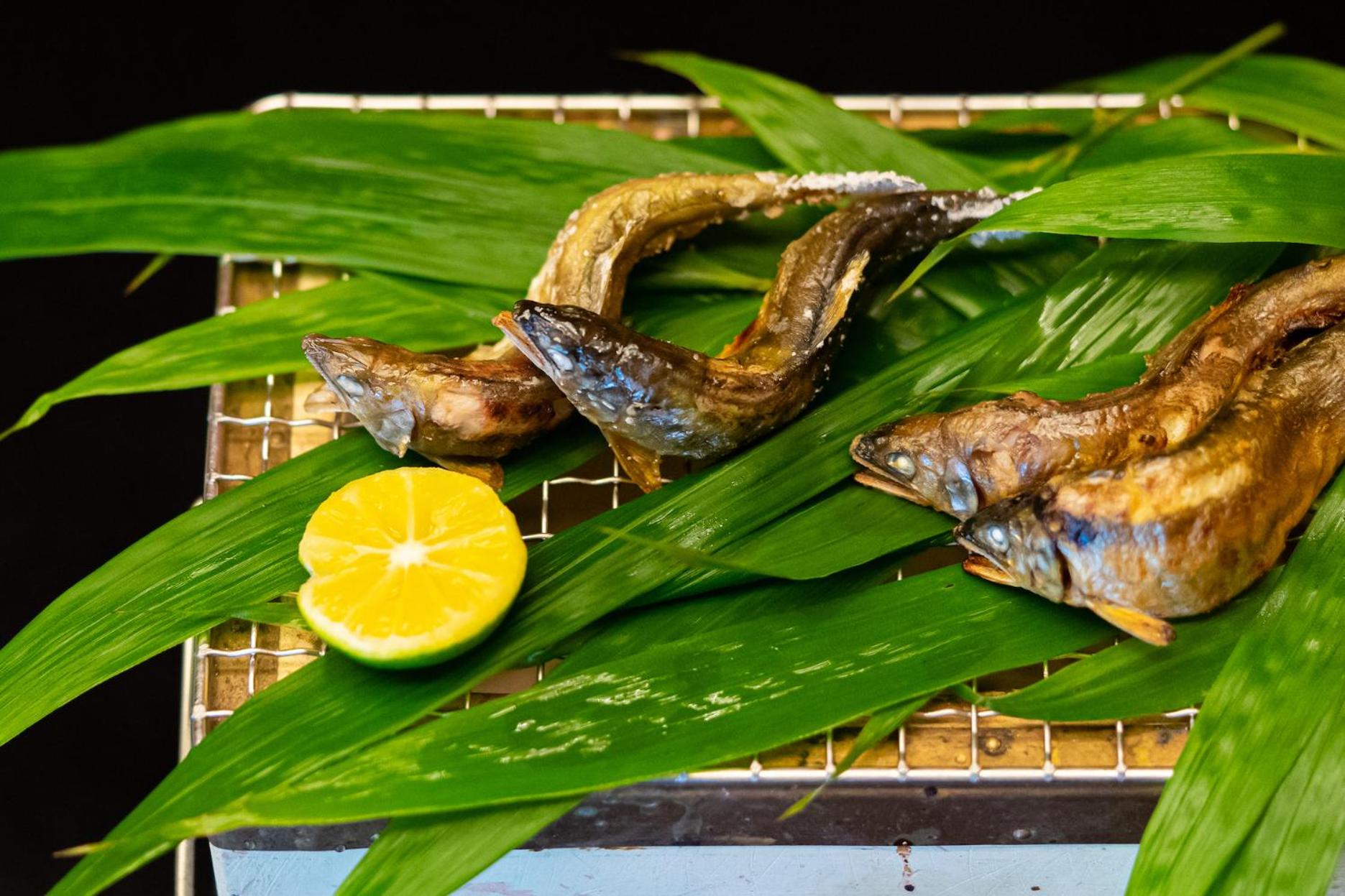 Ochiairo