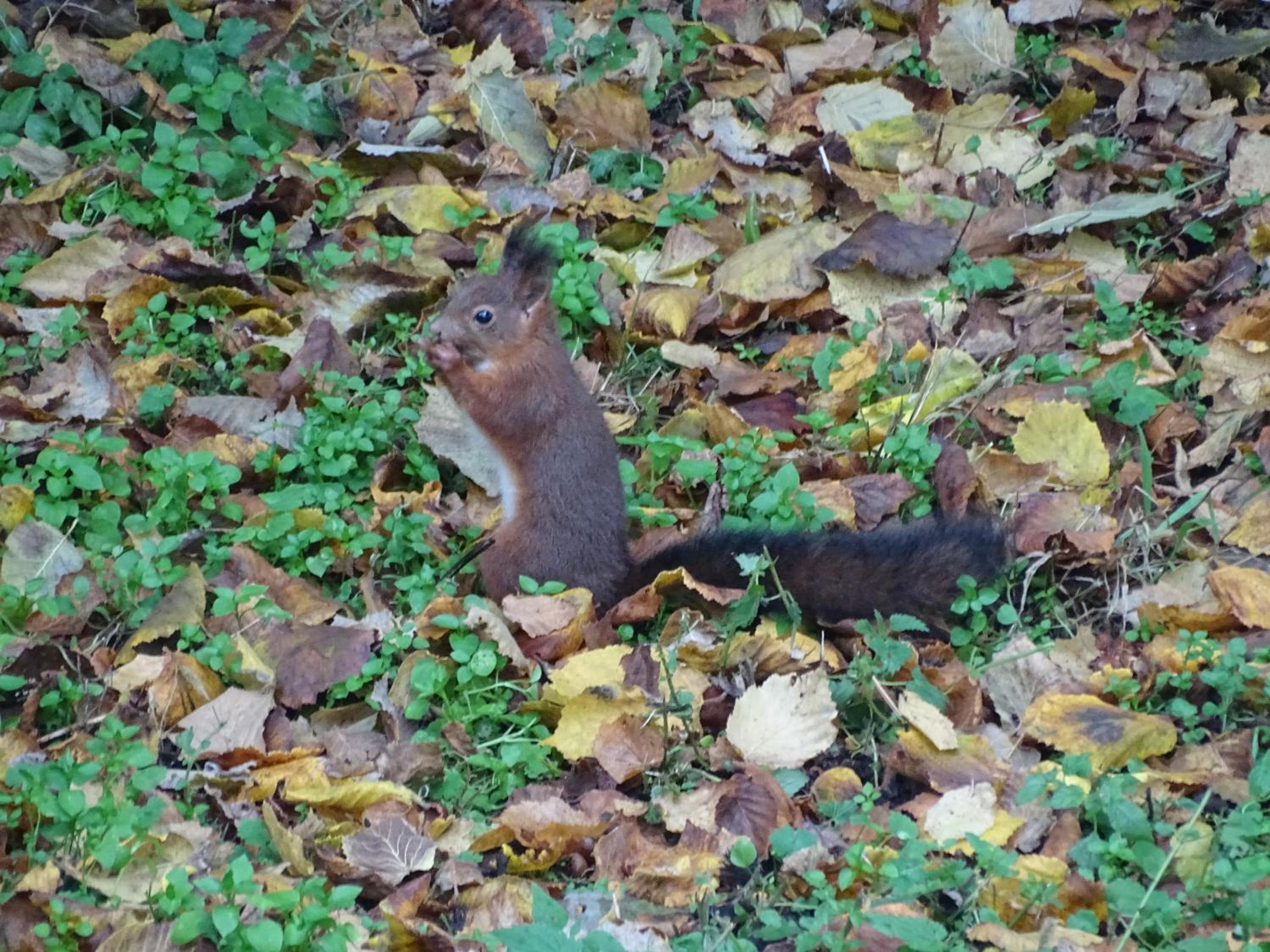 Photo 43