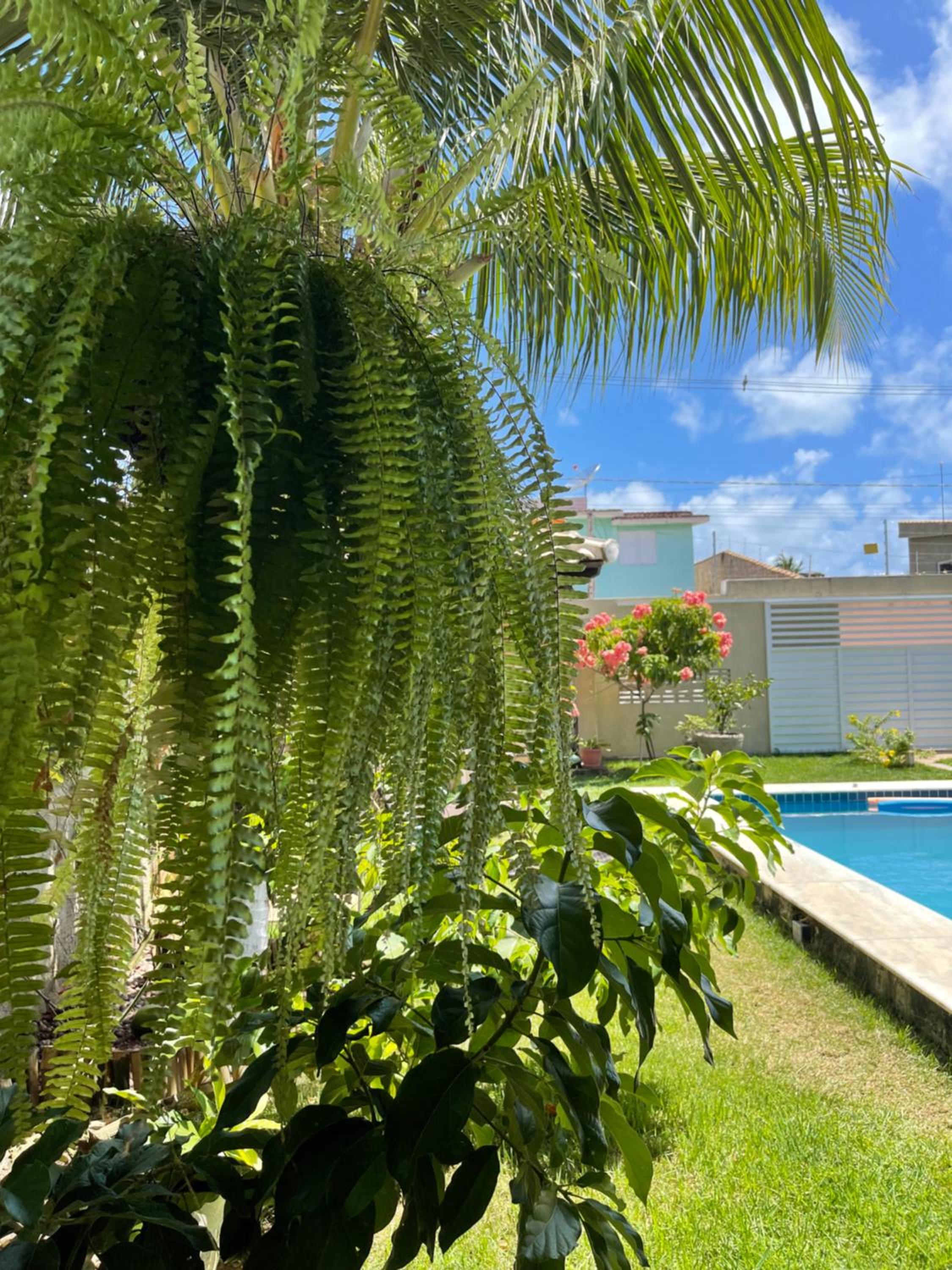 Casa em Peroba/Maragogi