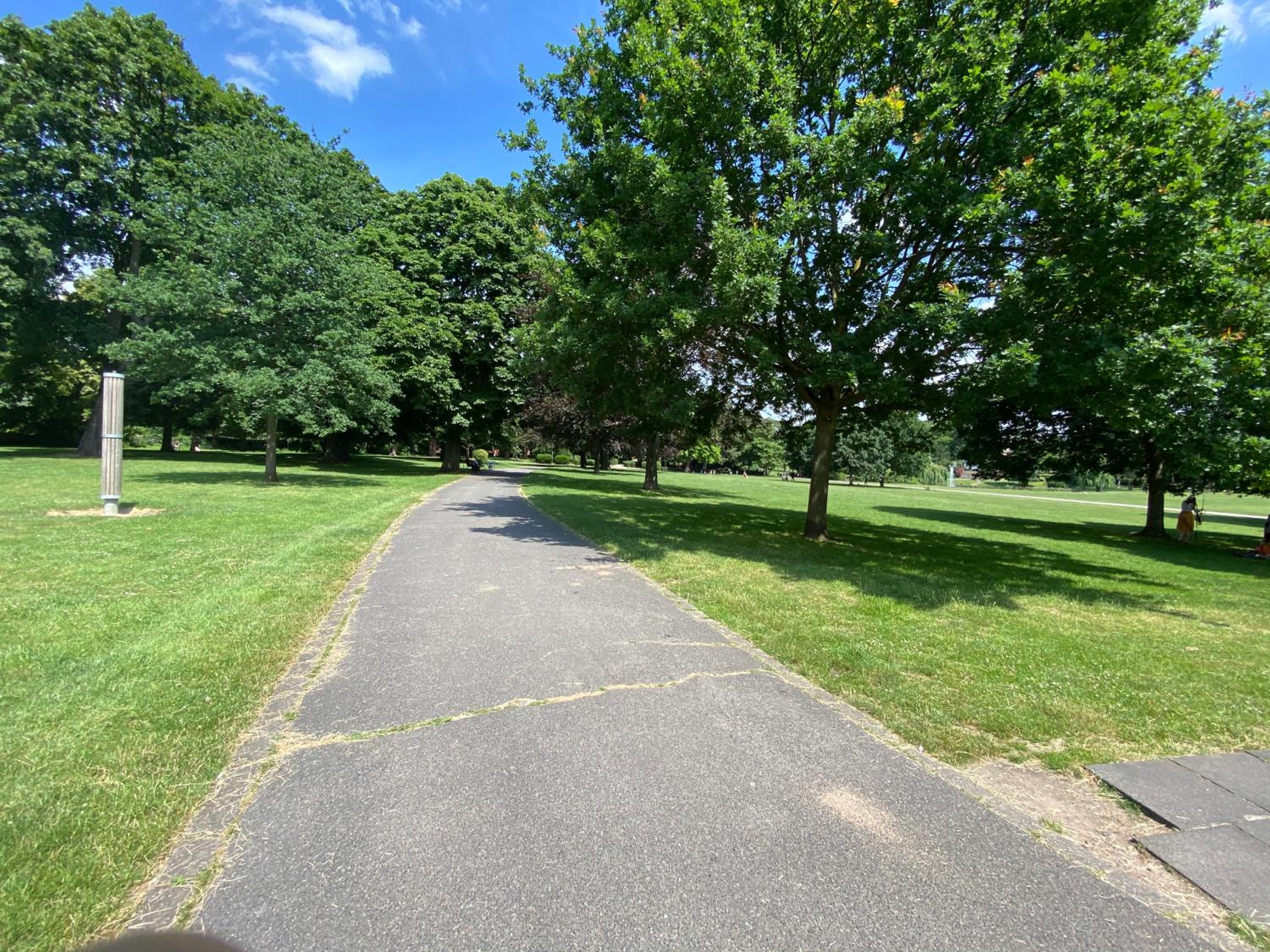 Photo 45