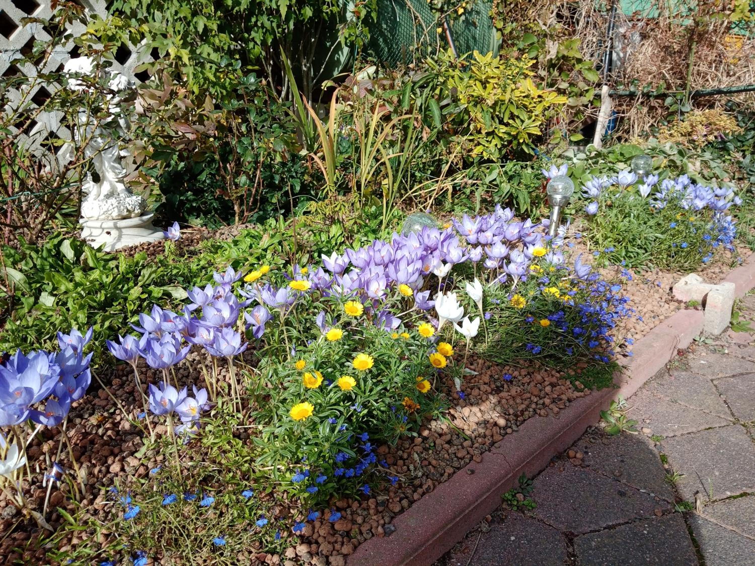 Photo 32