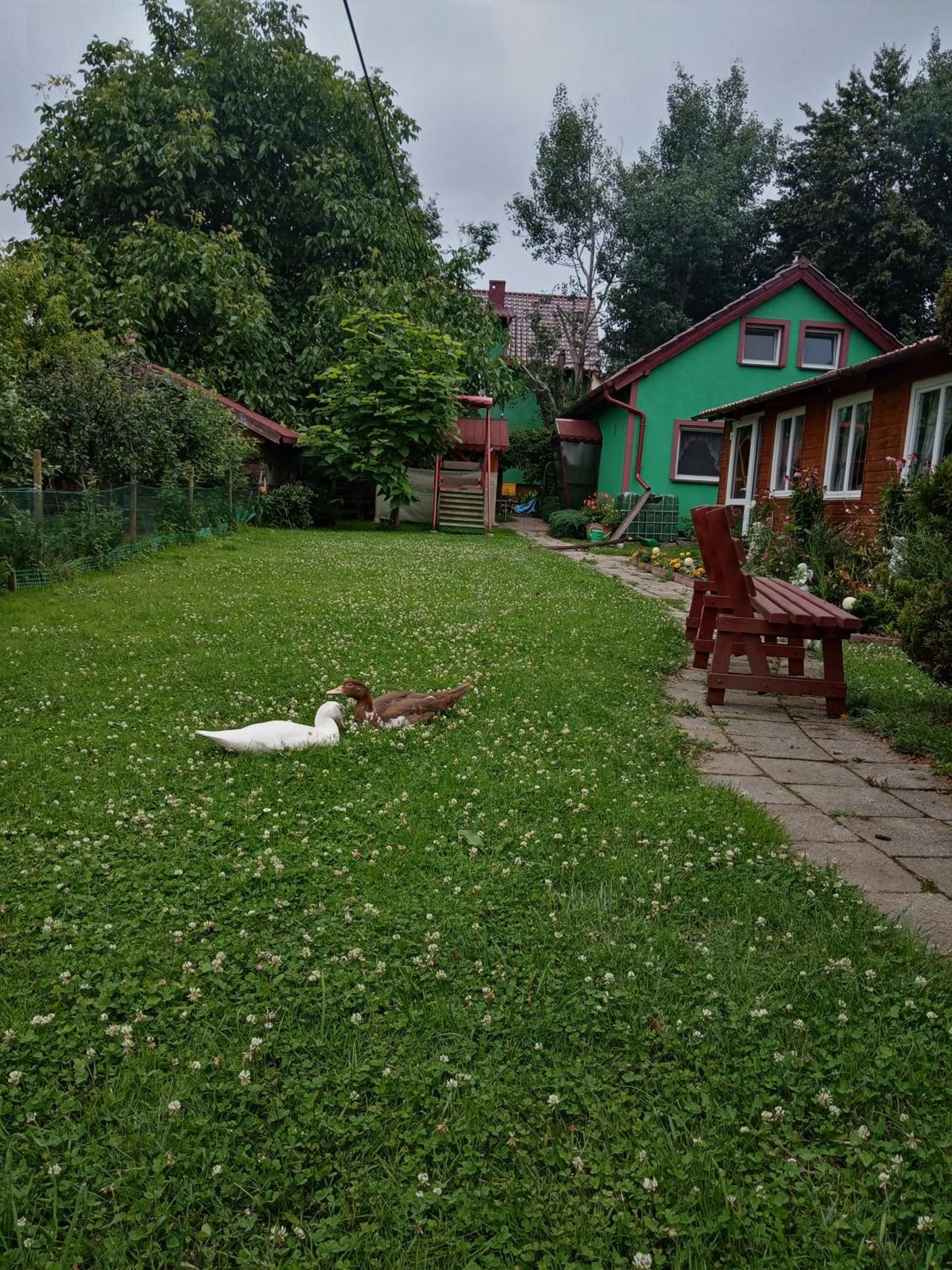 Photo 34