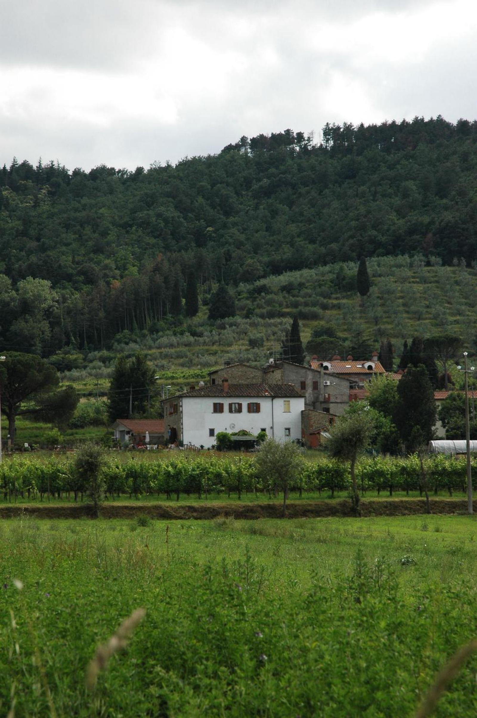 Agriturismo Villalba view 4