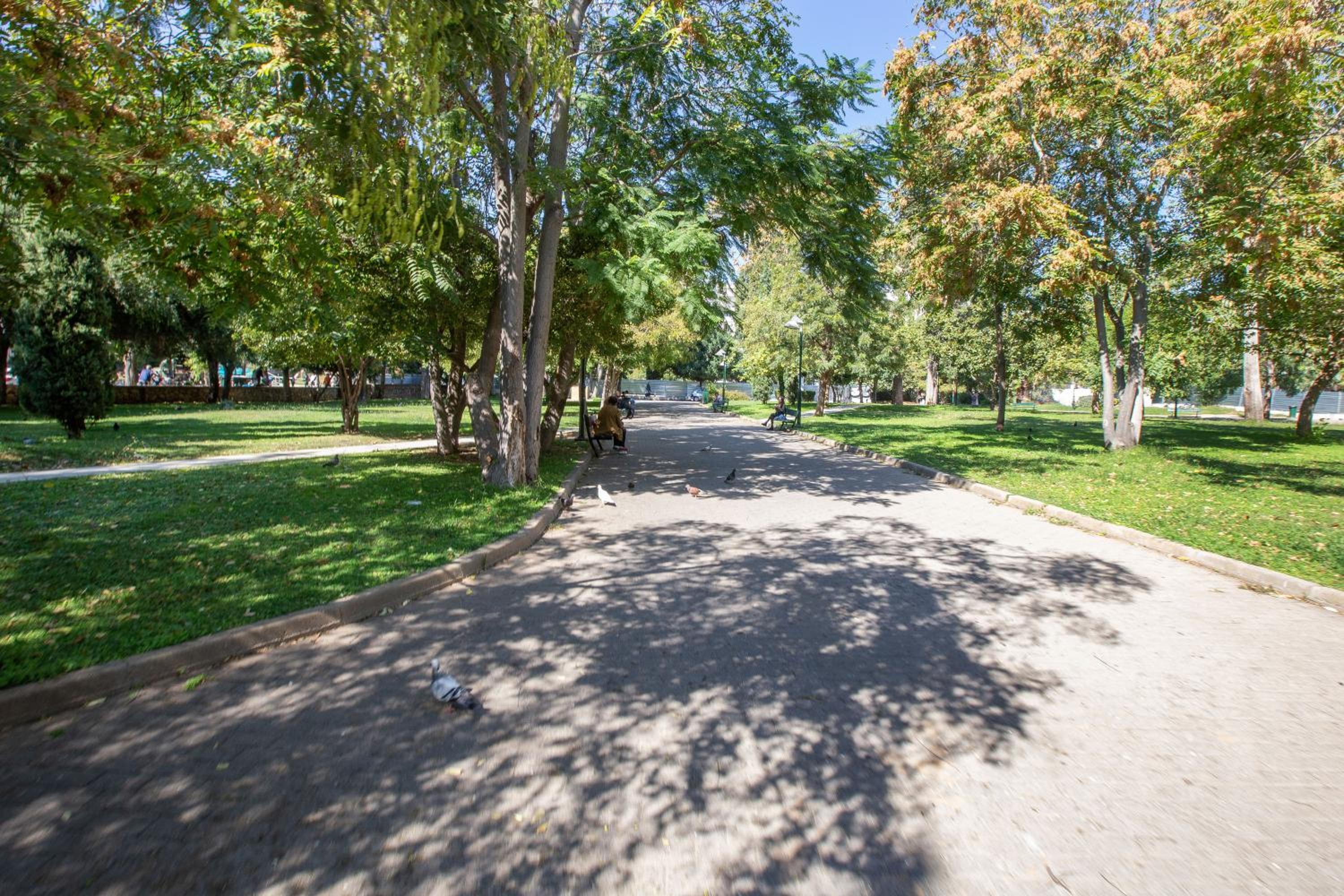 Upscale Luxury Athens Renovated Dream Home in One of the most Favorable Locations by National Gardens, Zoo & Hellenic Parliament in Syntagma and Stylish Ex