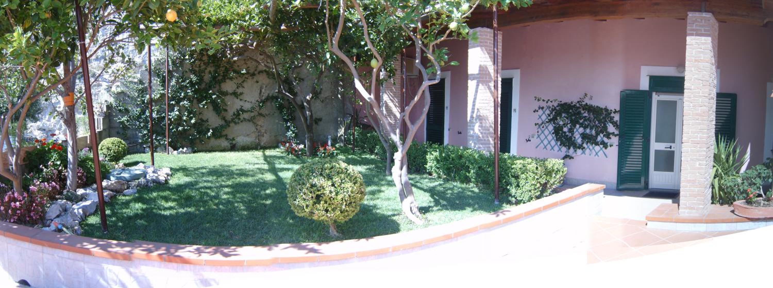 Photo 41