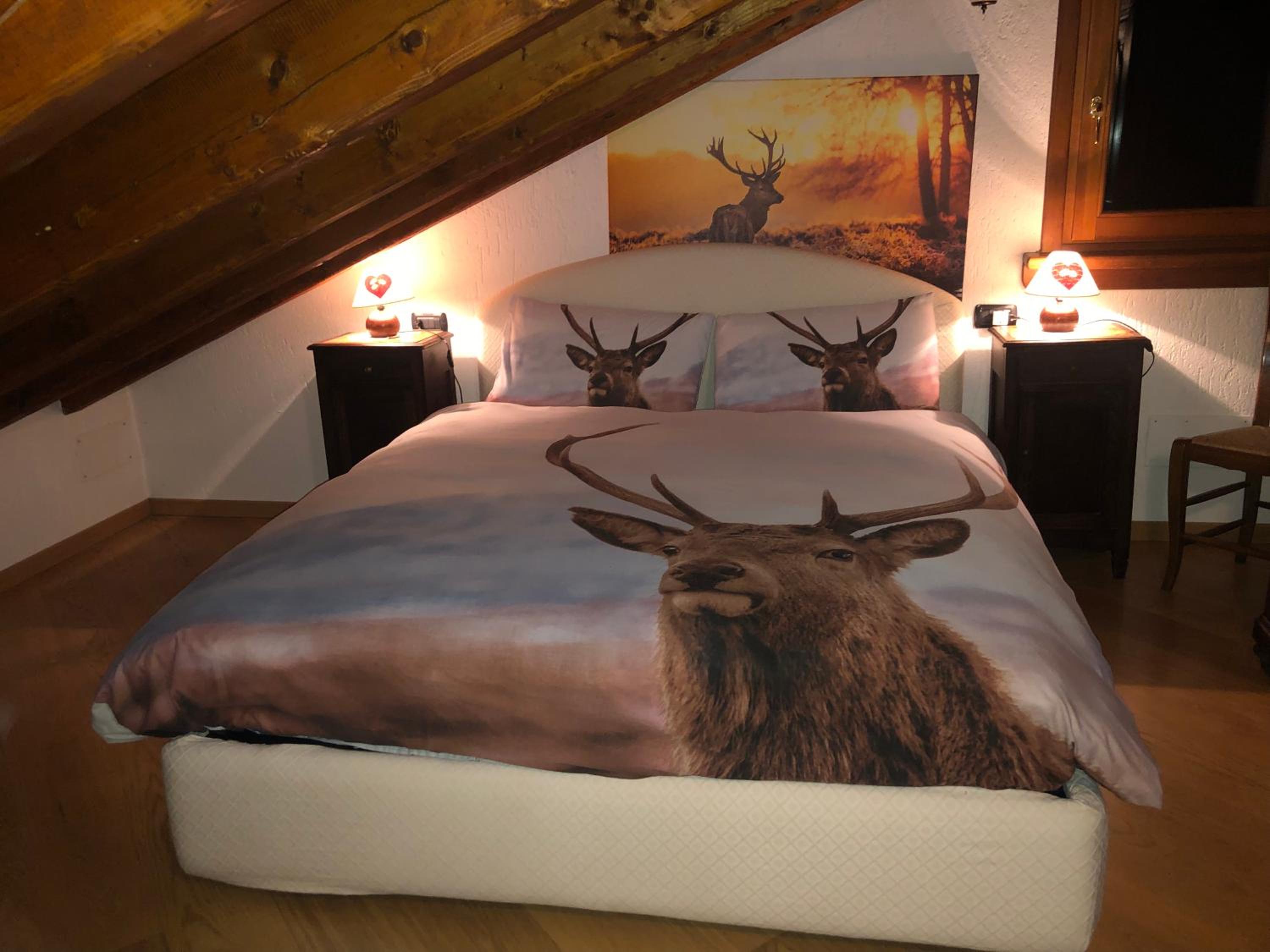 Mansarda luminosa - Property Image 20