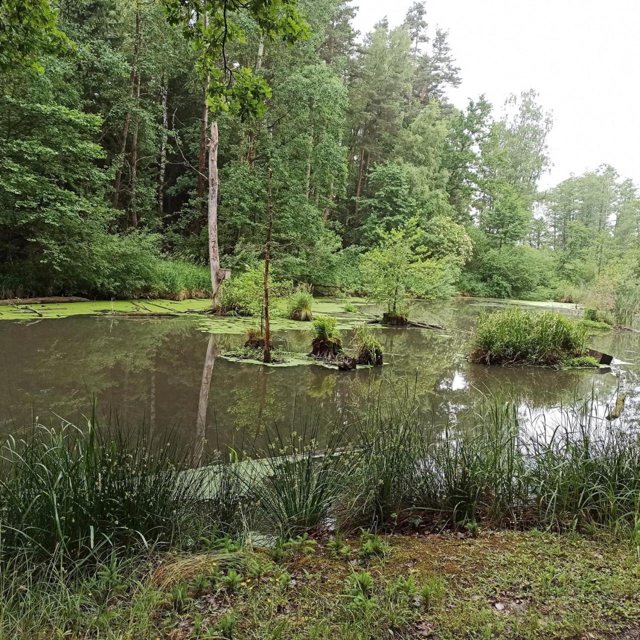 Apartmány Žiaková - ubytování Nové Hrady 111 view 3