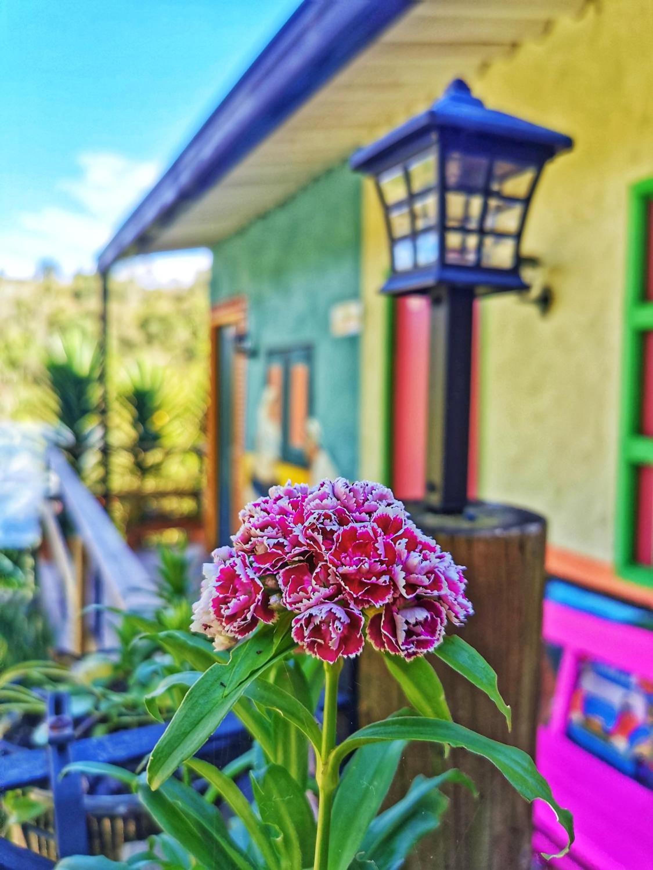 Hotel Marrokos Aeropuerto Jose Maria Cordova - Property Image 9