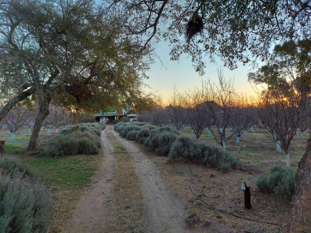 Finca La Julia