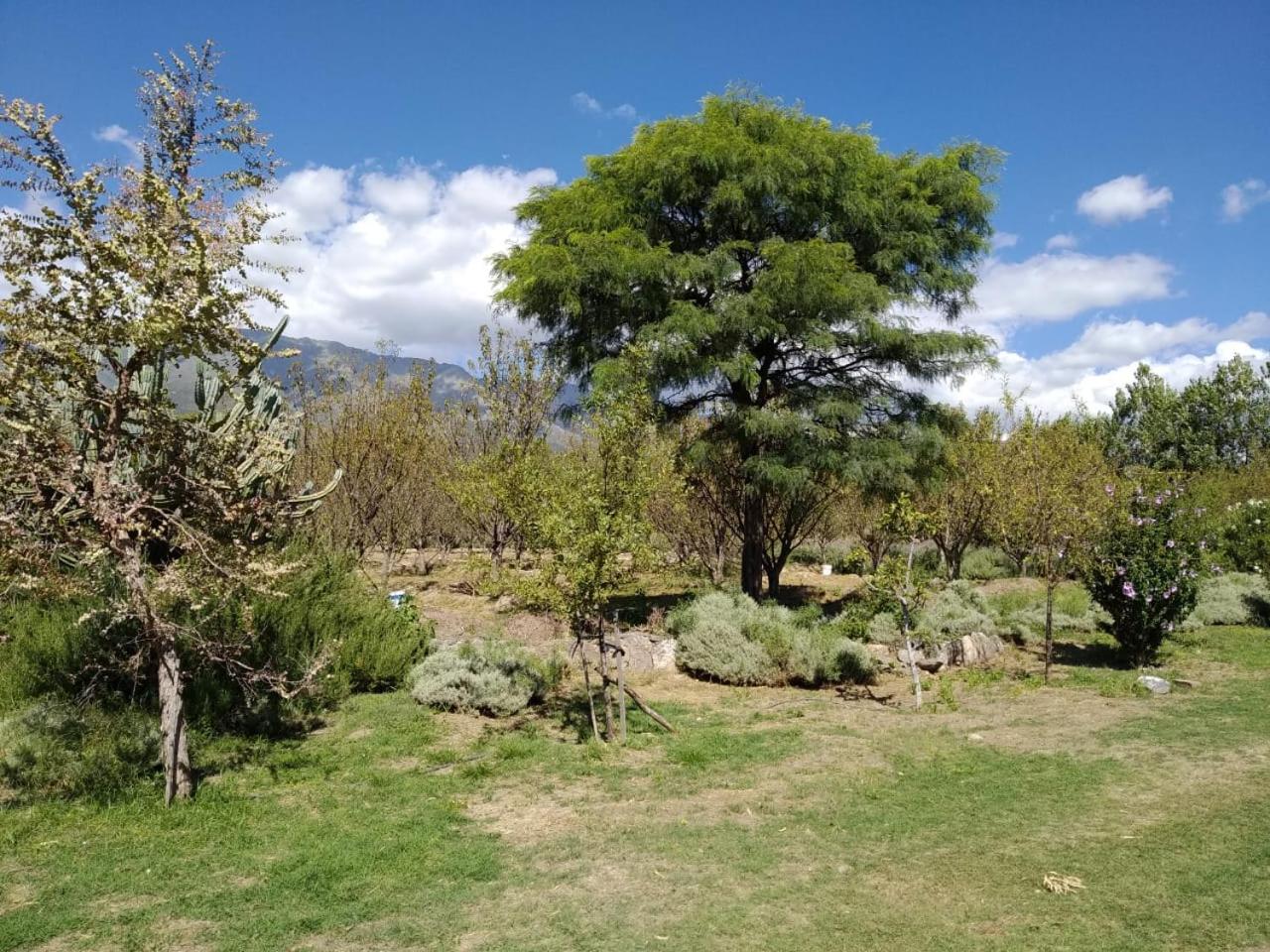 Finca La Julia