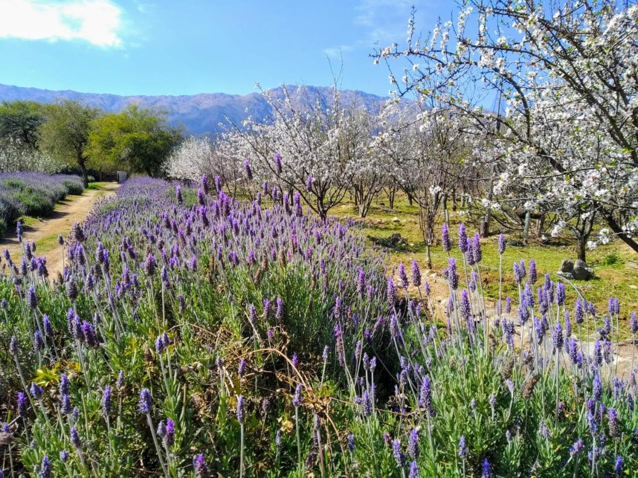Finca La Julia