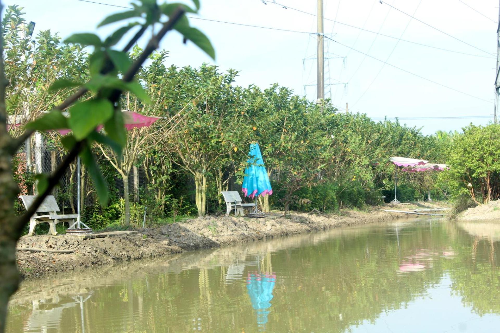 Thạch Thảo Homestay