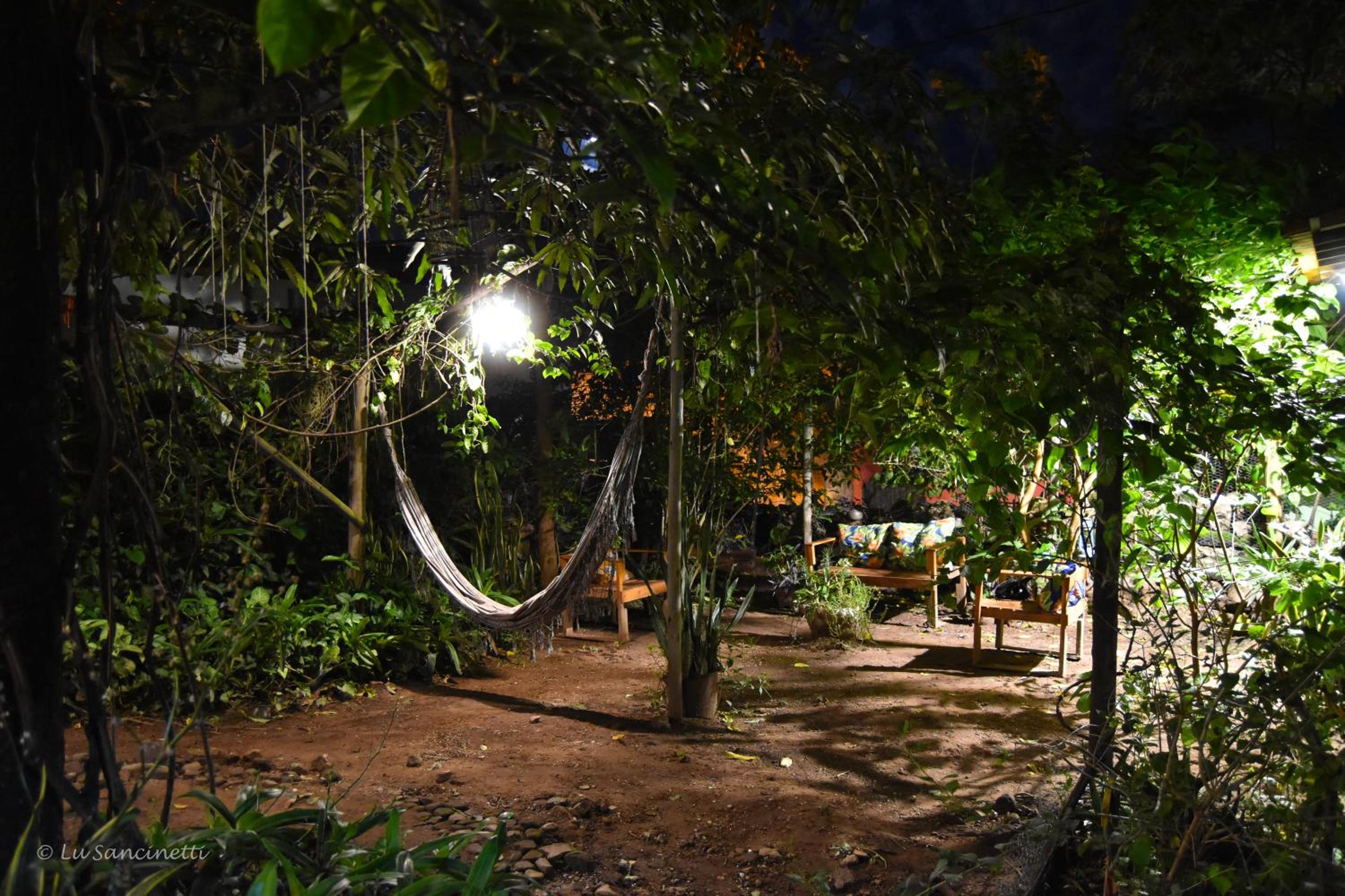 Photo 52