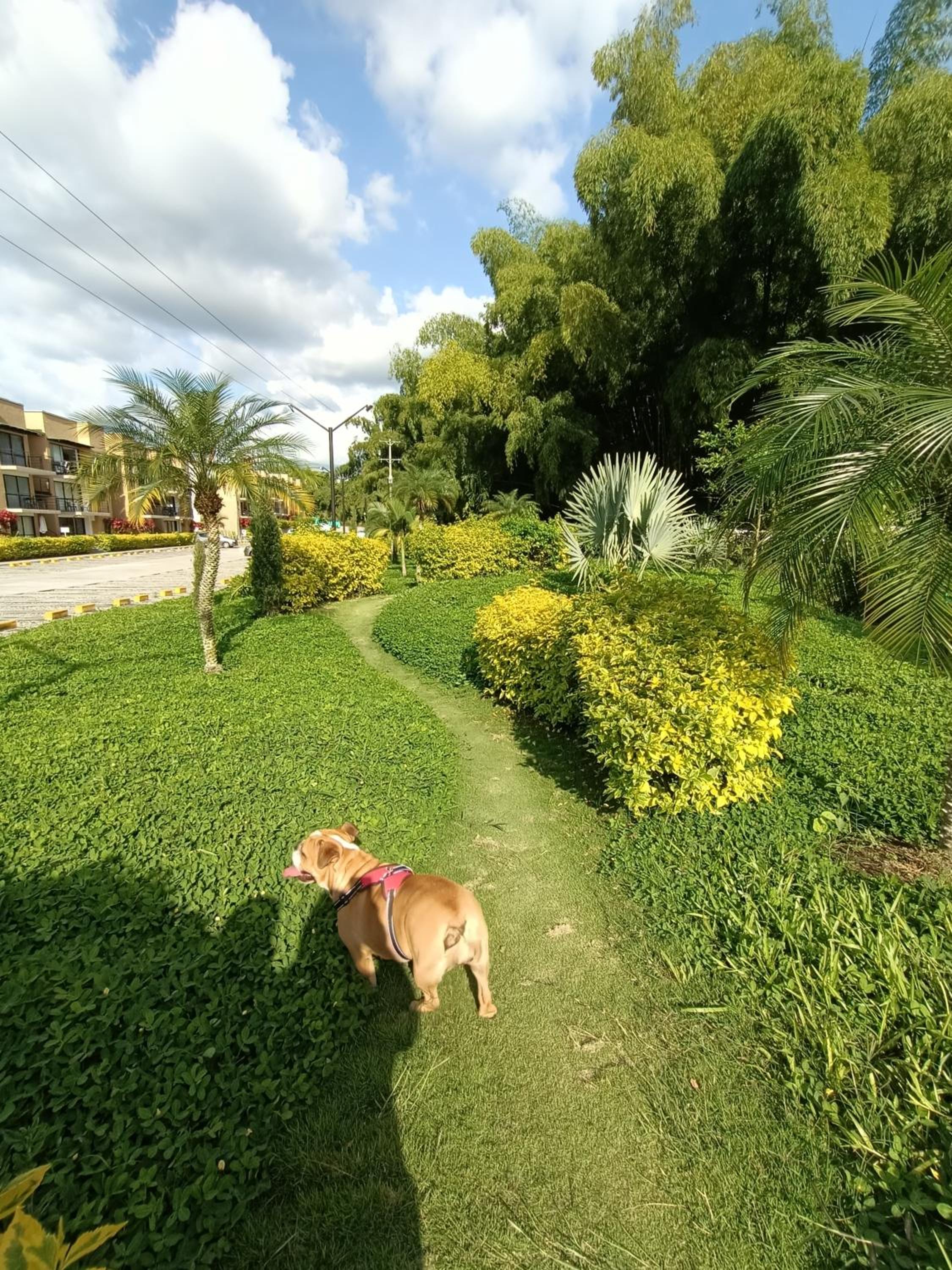 Apartasol 216A Reserva de la Colina, La Tebaida Quindio