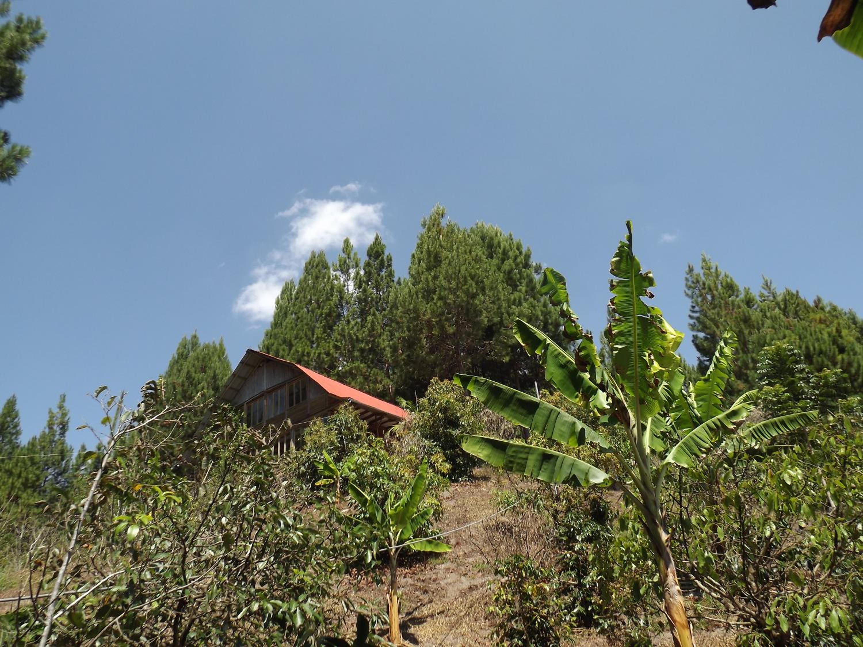 La Casita de Oxapampa view 5