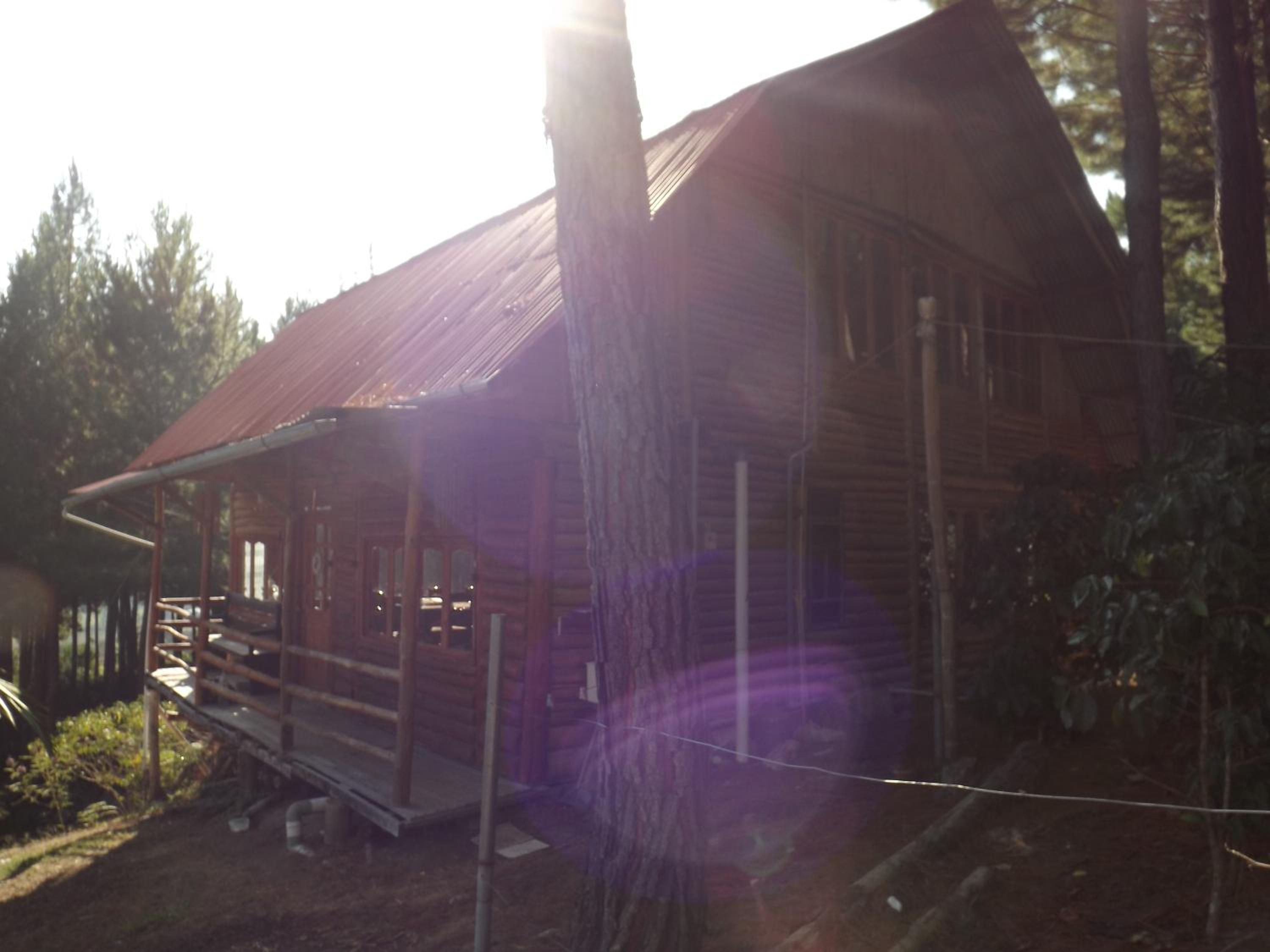 Photo 29