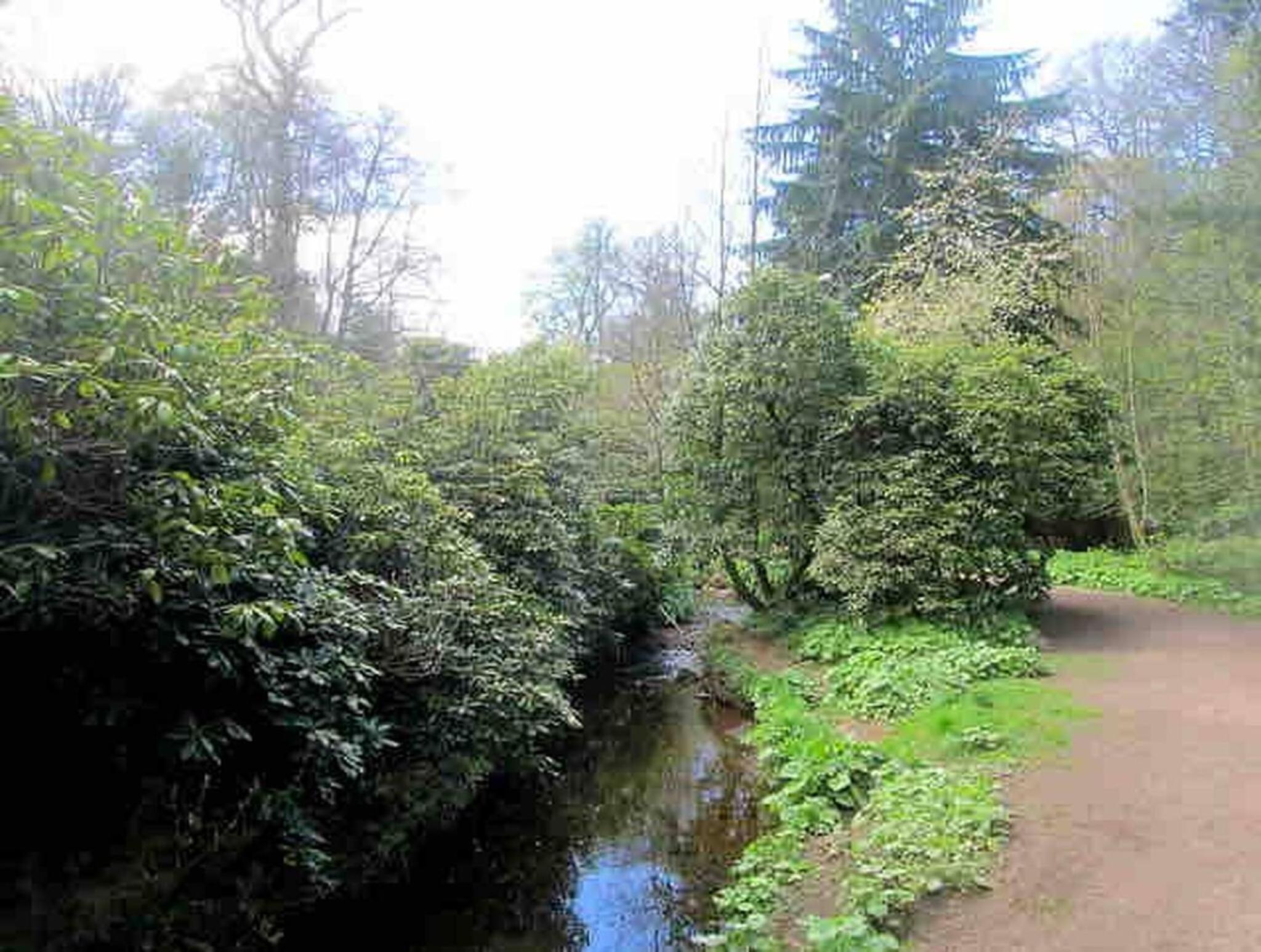 Photo 13