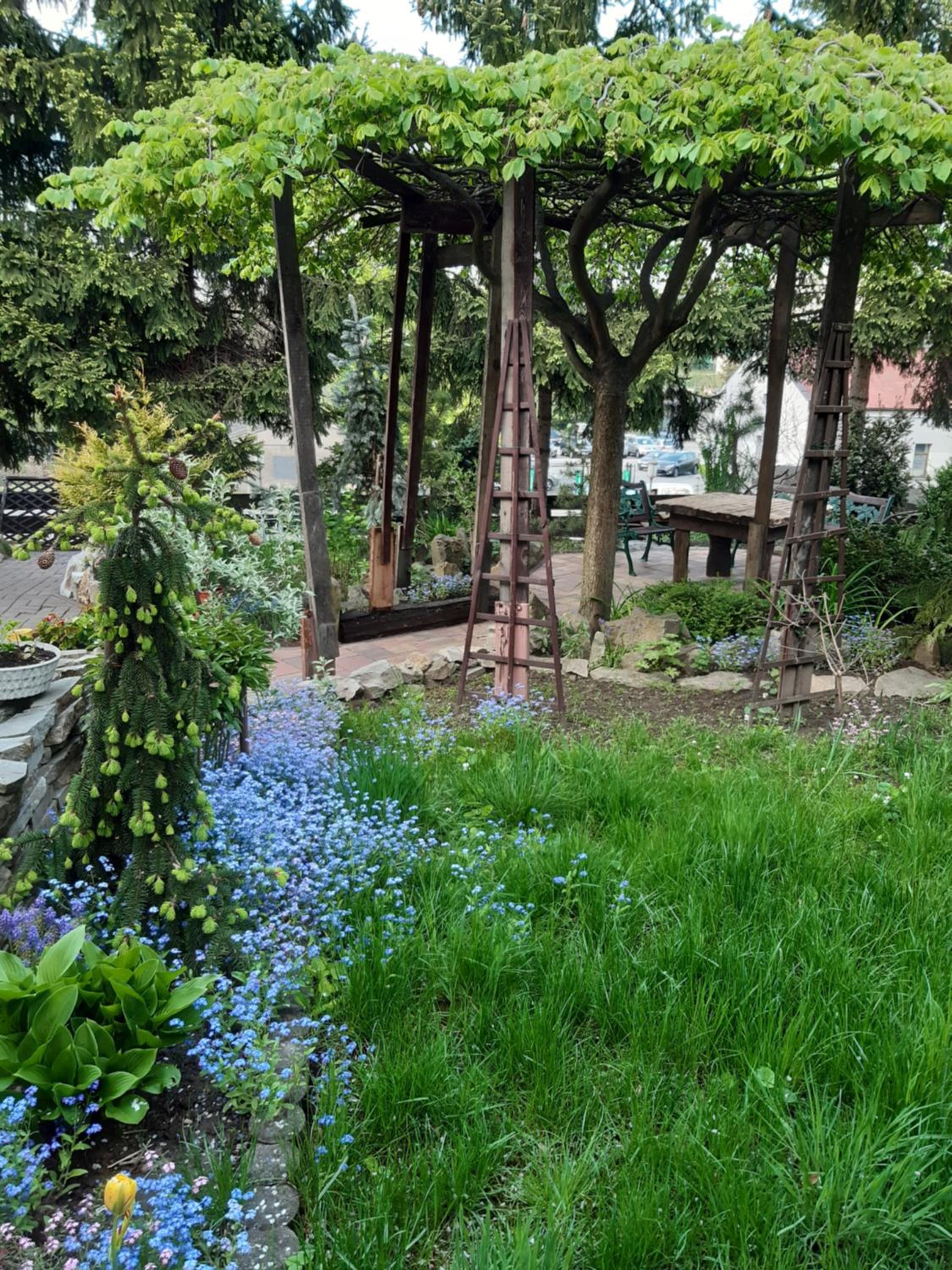 Photo 42