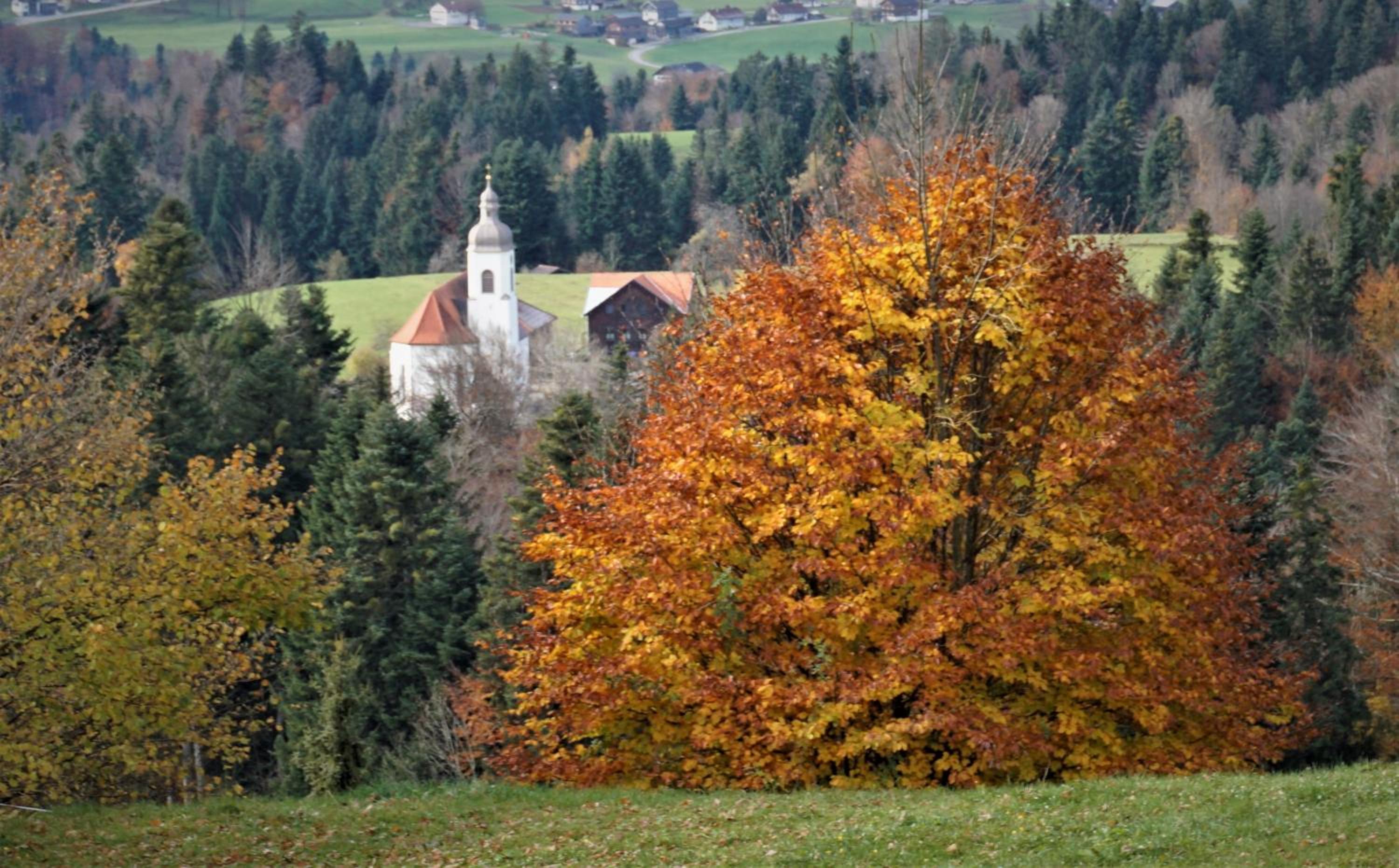 Photo 33