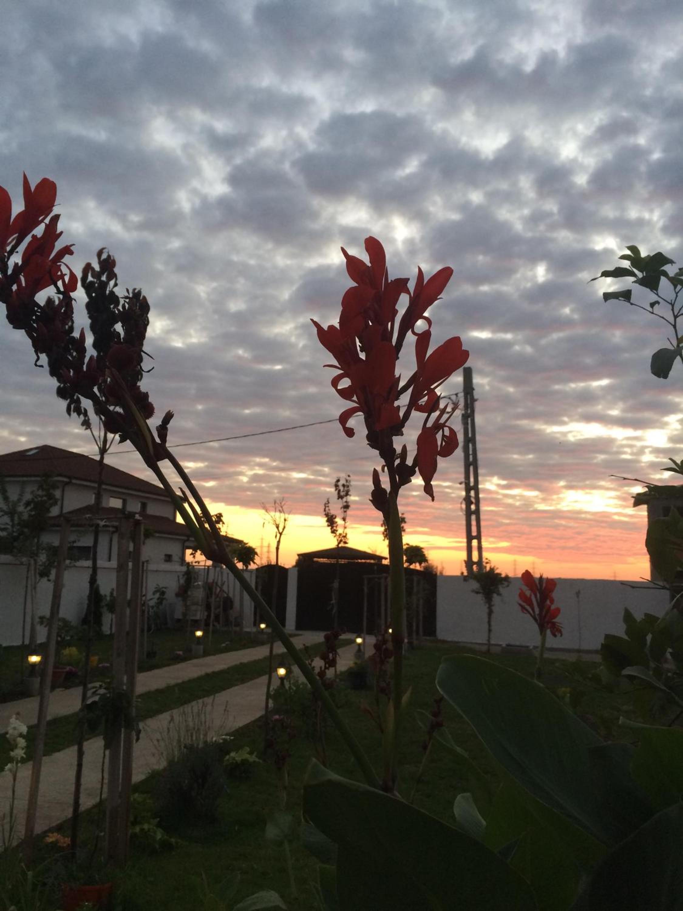 Blue Sky House view 5
