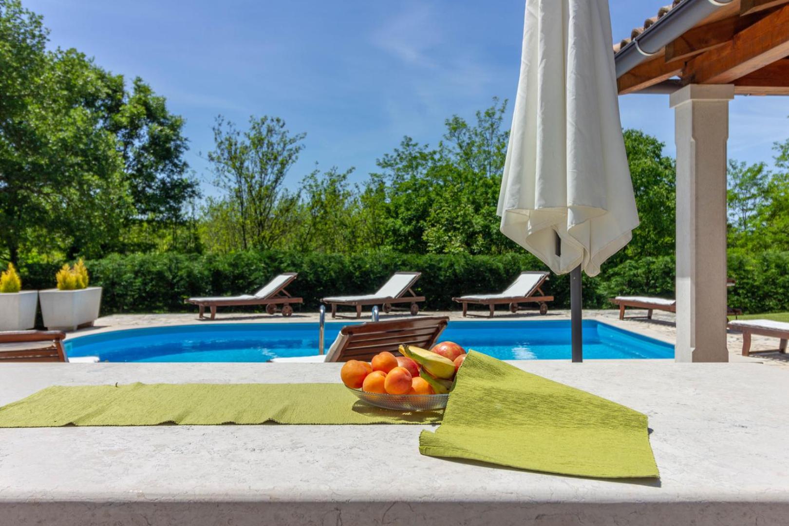 Beautiful villa Morena with private swimming pool near Poreč view 5