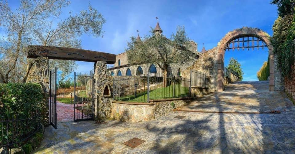 Photo 28
