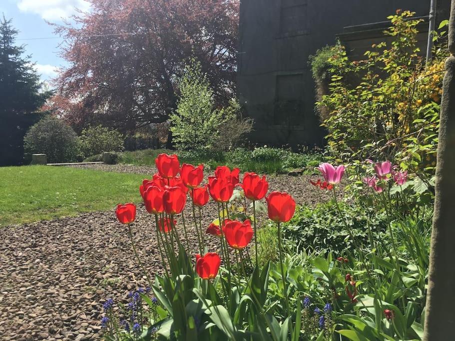 Swinton Manse & Gardens view 5