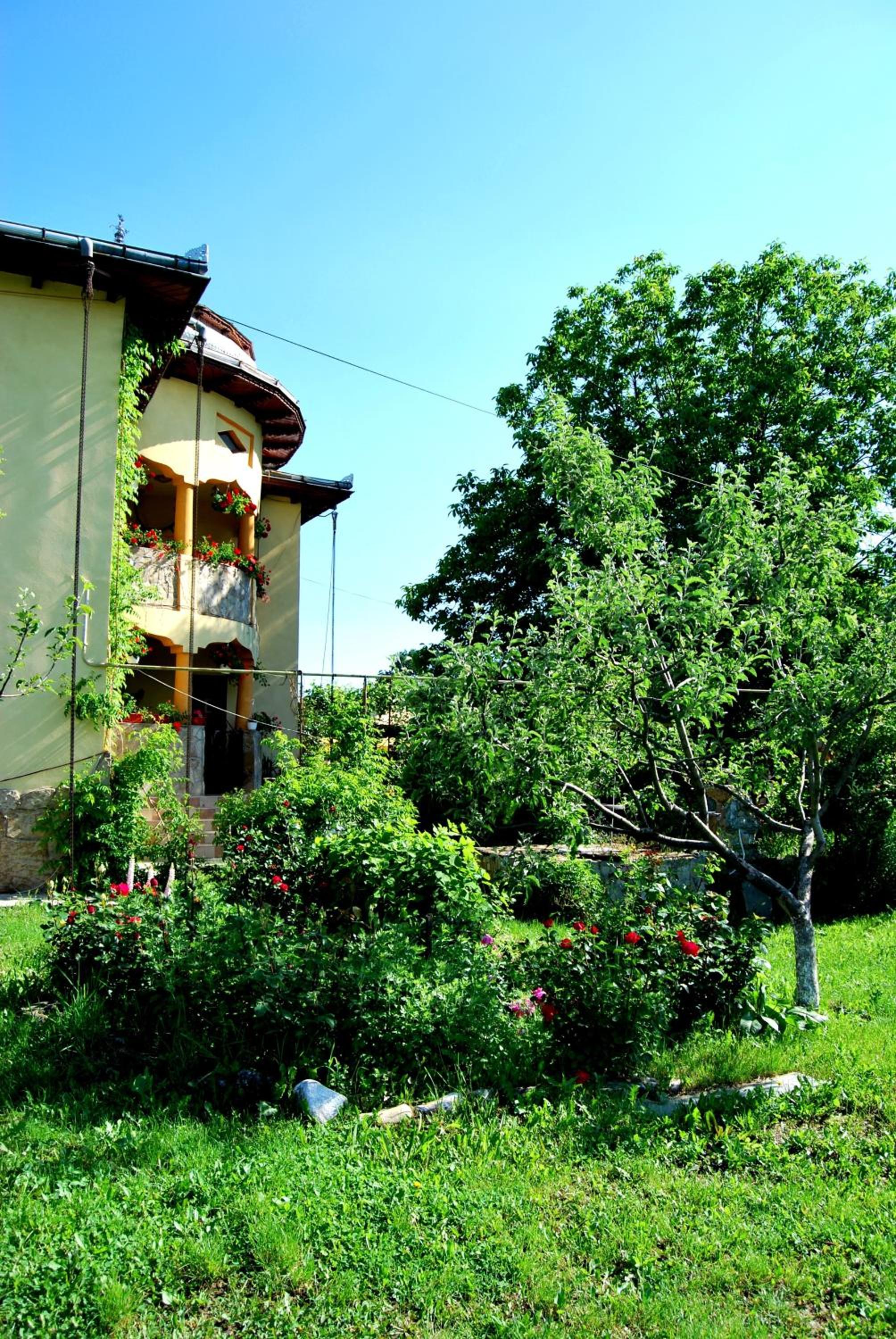 Photo 6
