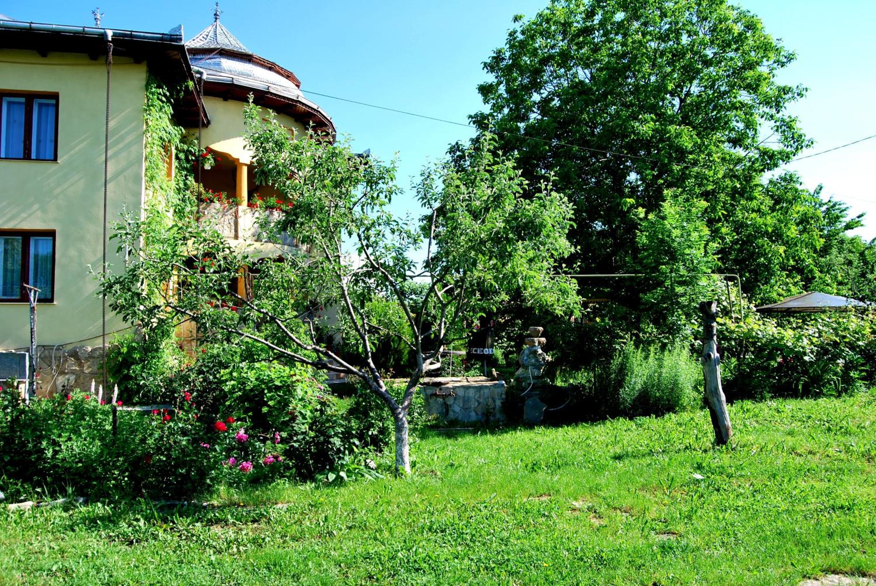 Photo 8