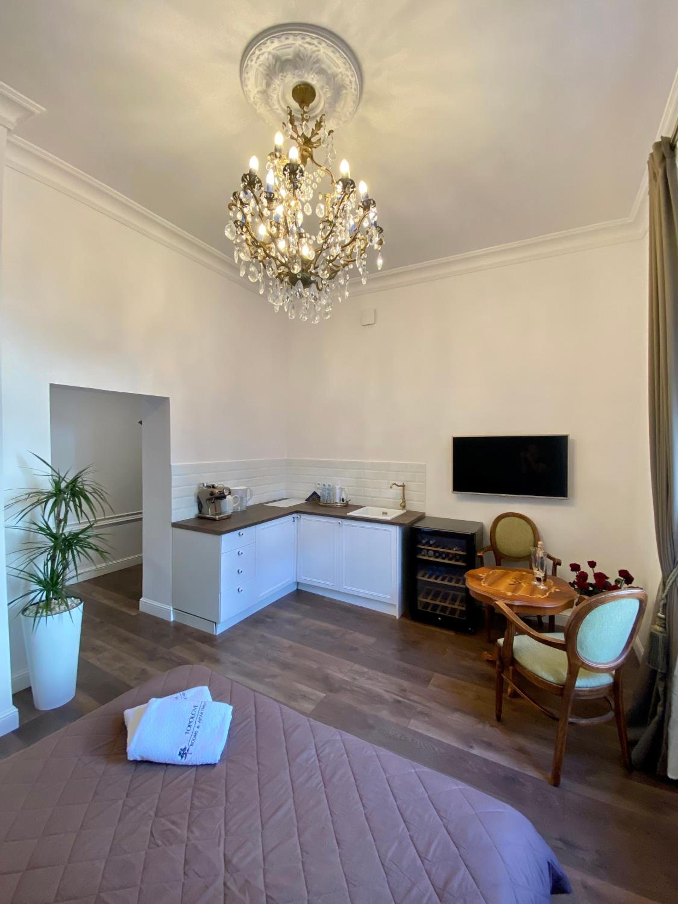 Kochanowskiego Apartment - Topolove Rooms & Apartments view 2