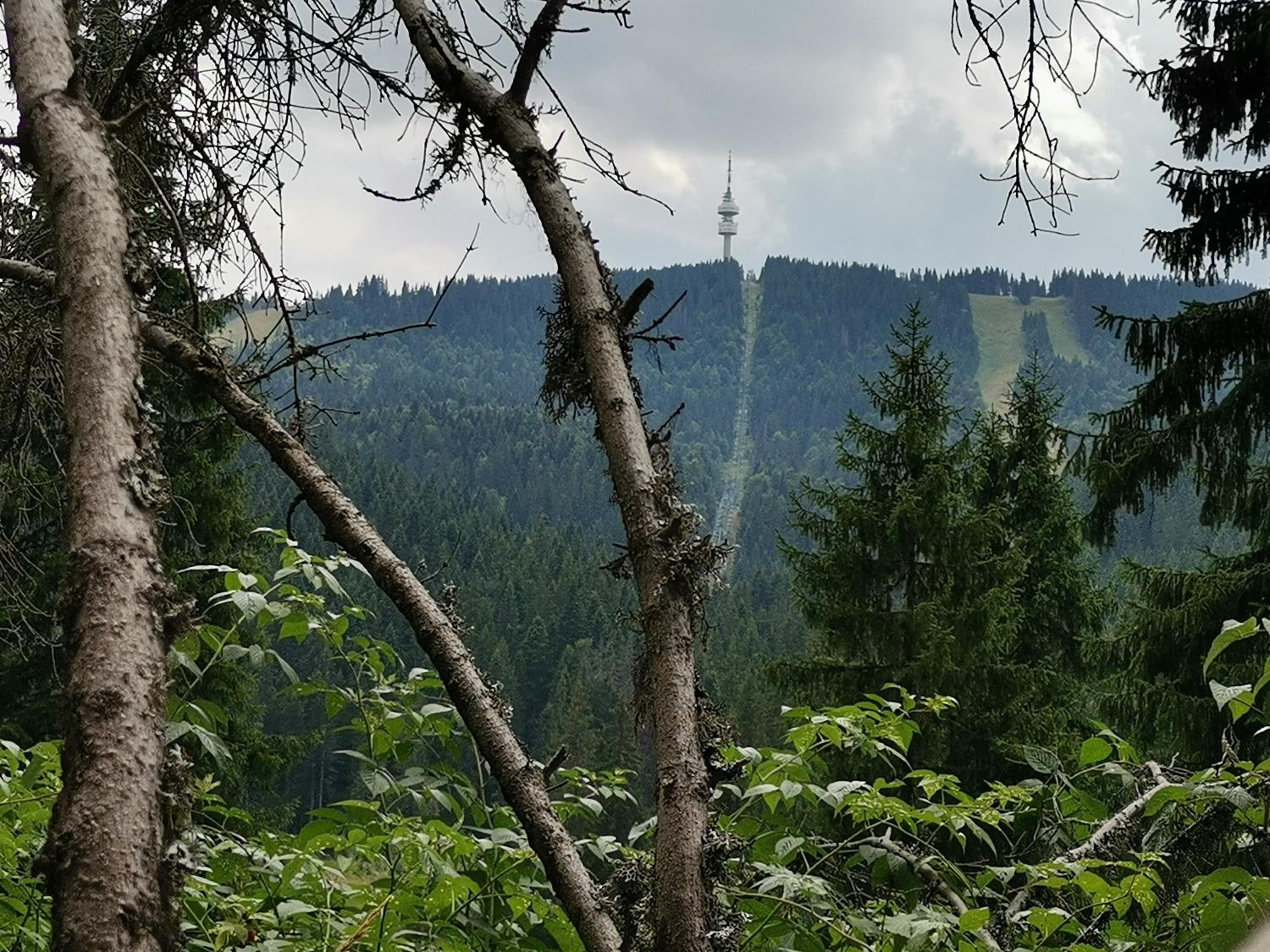 Photo 18