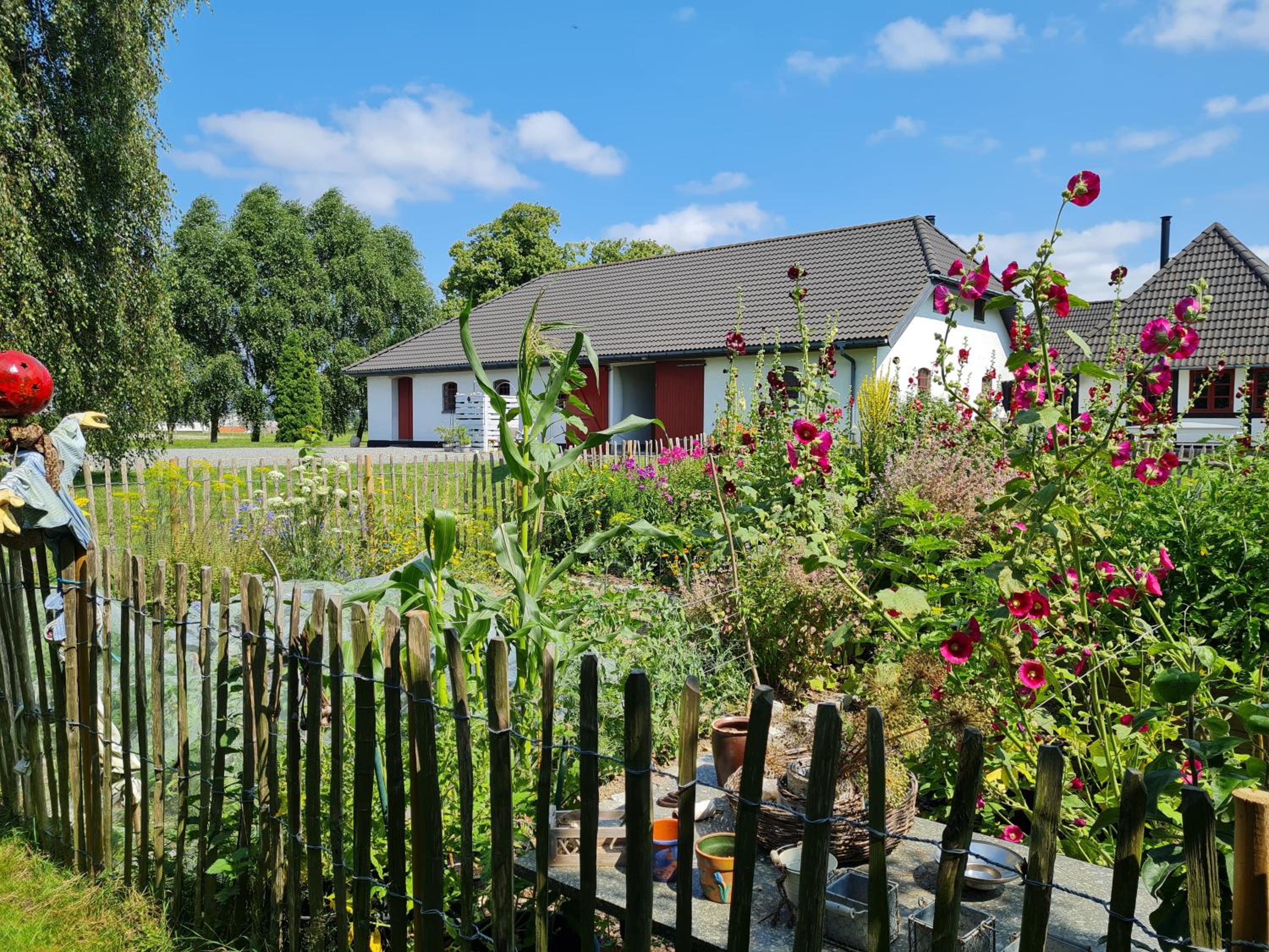 B&B Bauernhofferien auf Møn view 3
