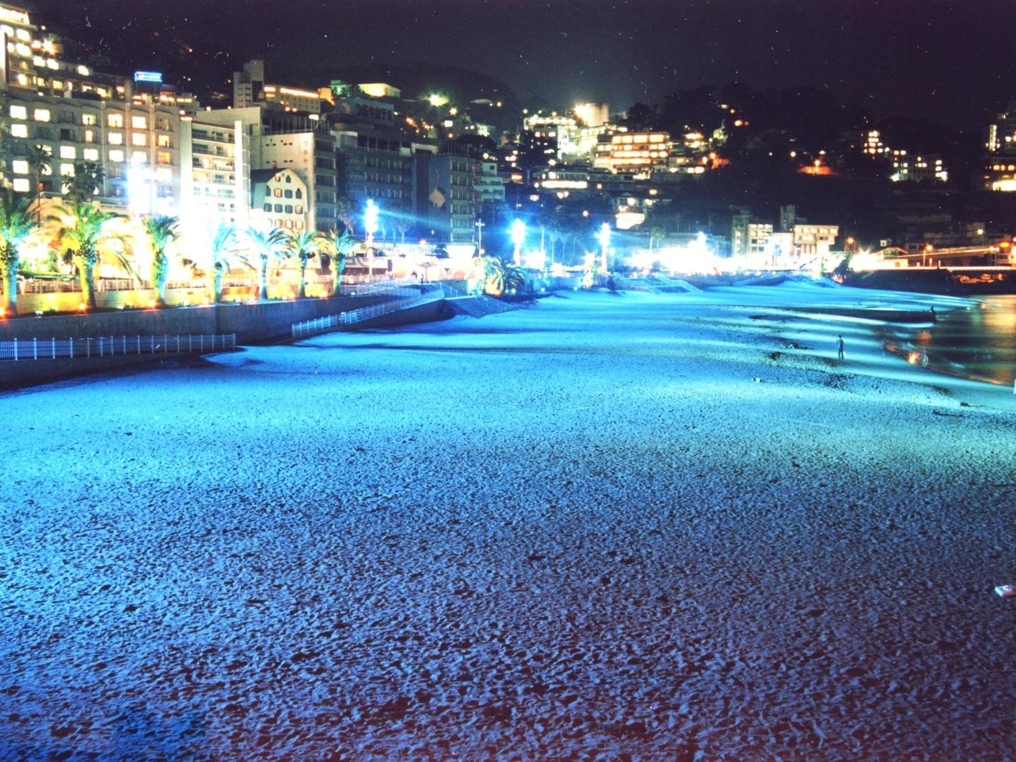 Photo 40
