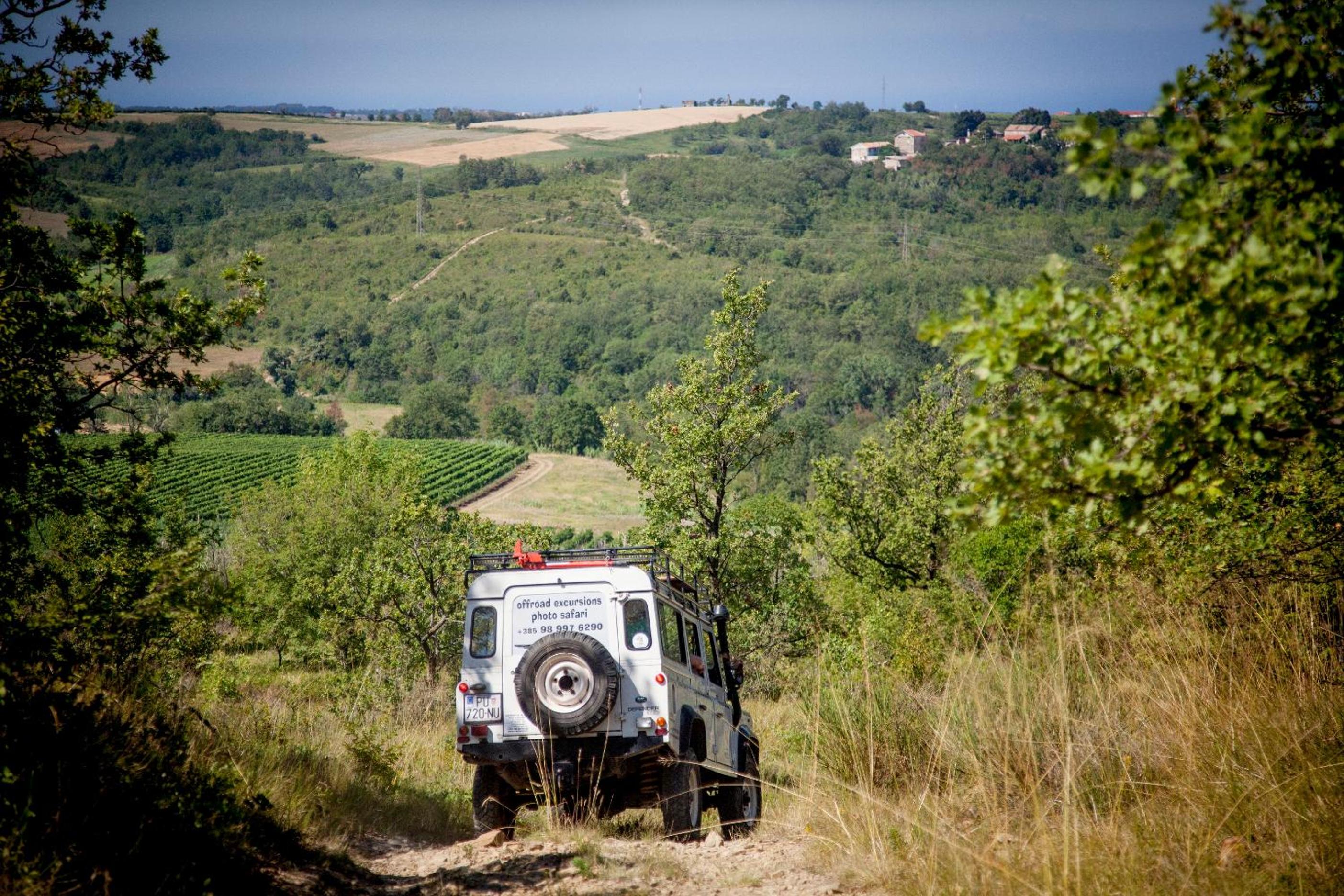 al Merlo Olivo, rural istrian house view 3