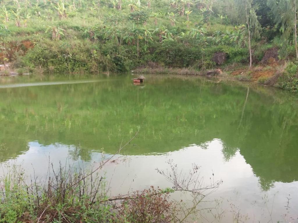 Recanto dos Moitas