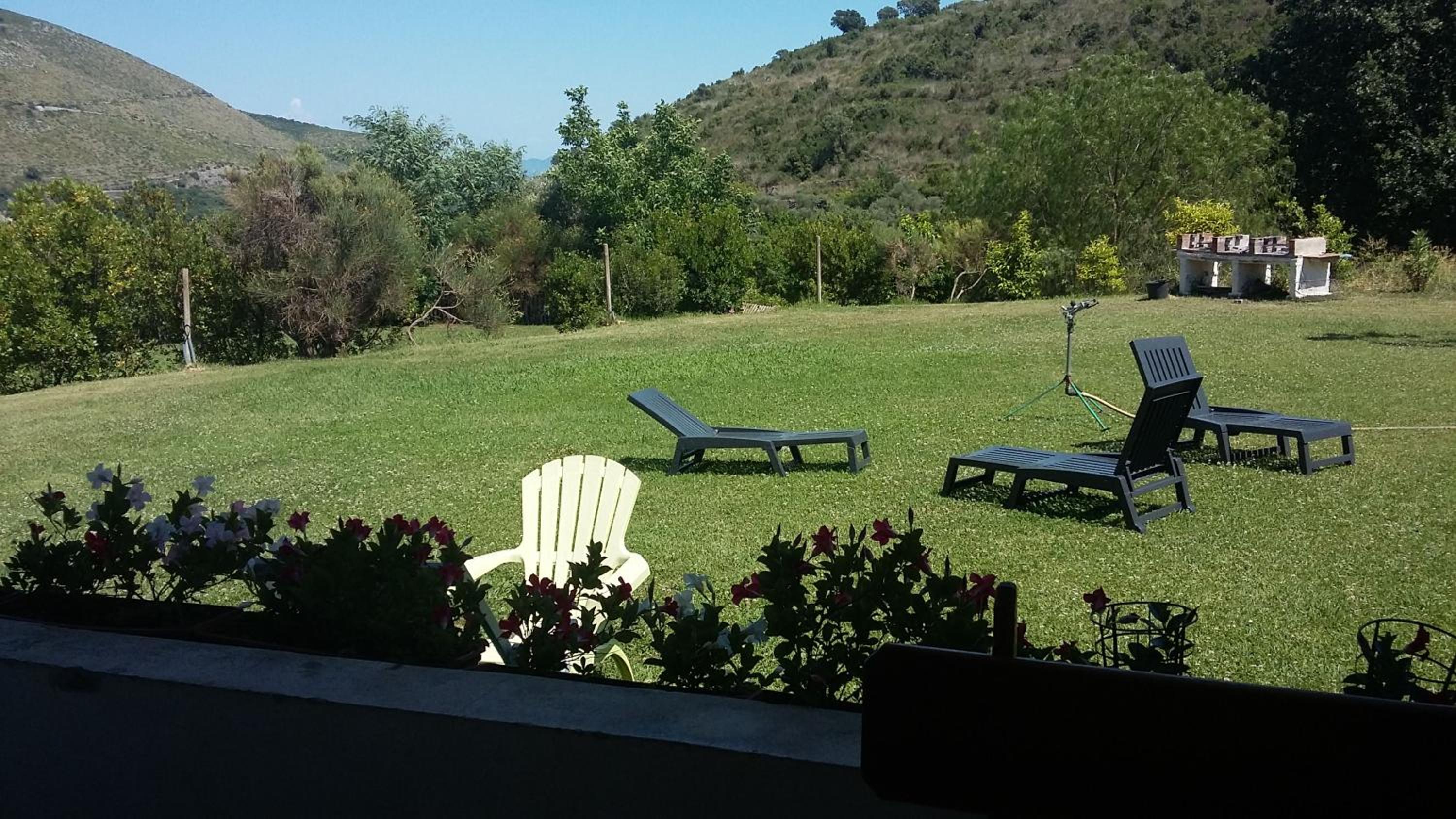 Photo 10