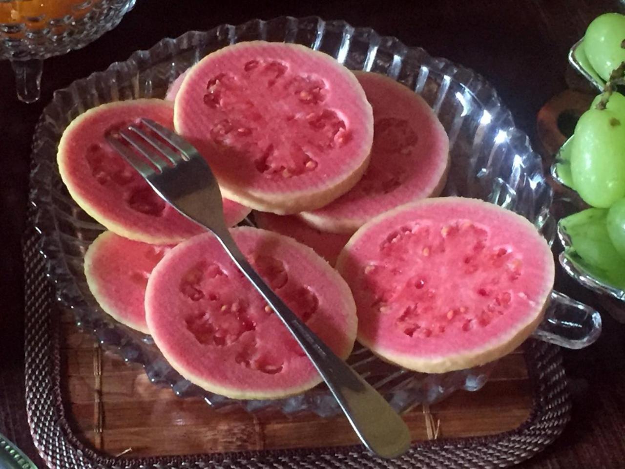 Recanto Suíço