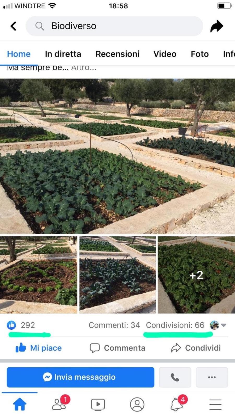 Villa Moresca dei Trulli Fernando photo 3