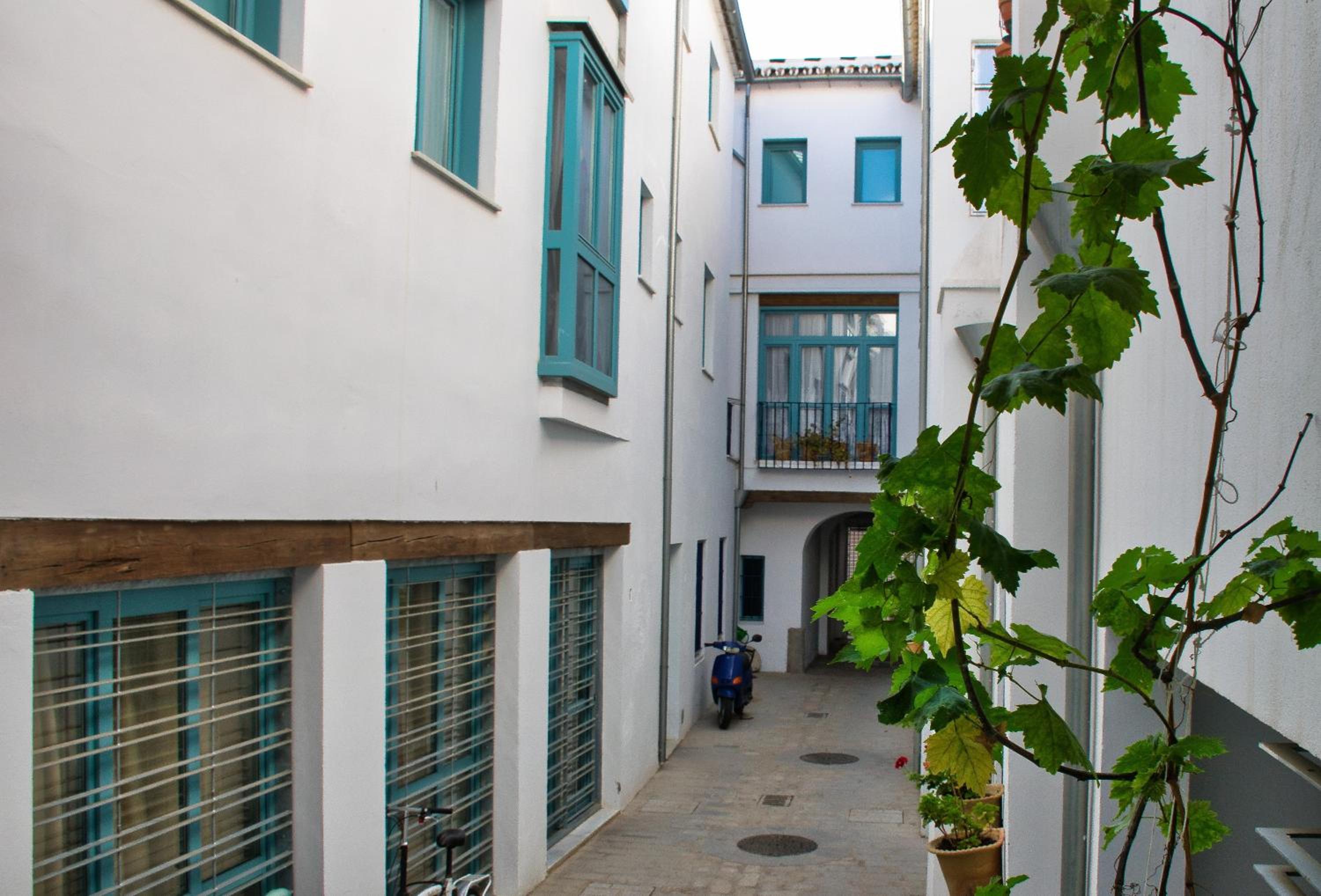 Covadonga 9 Apartments - Triana view 3