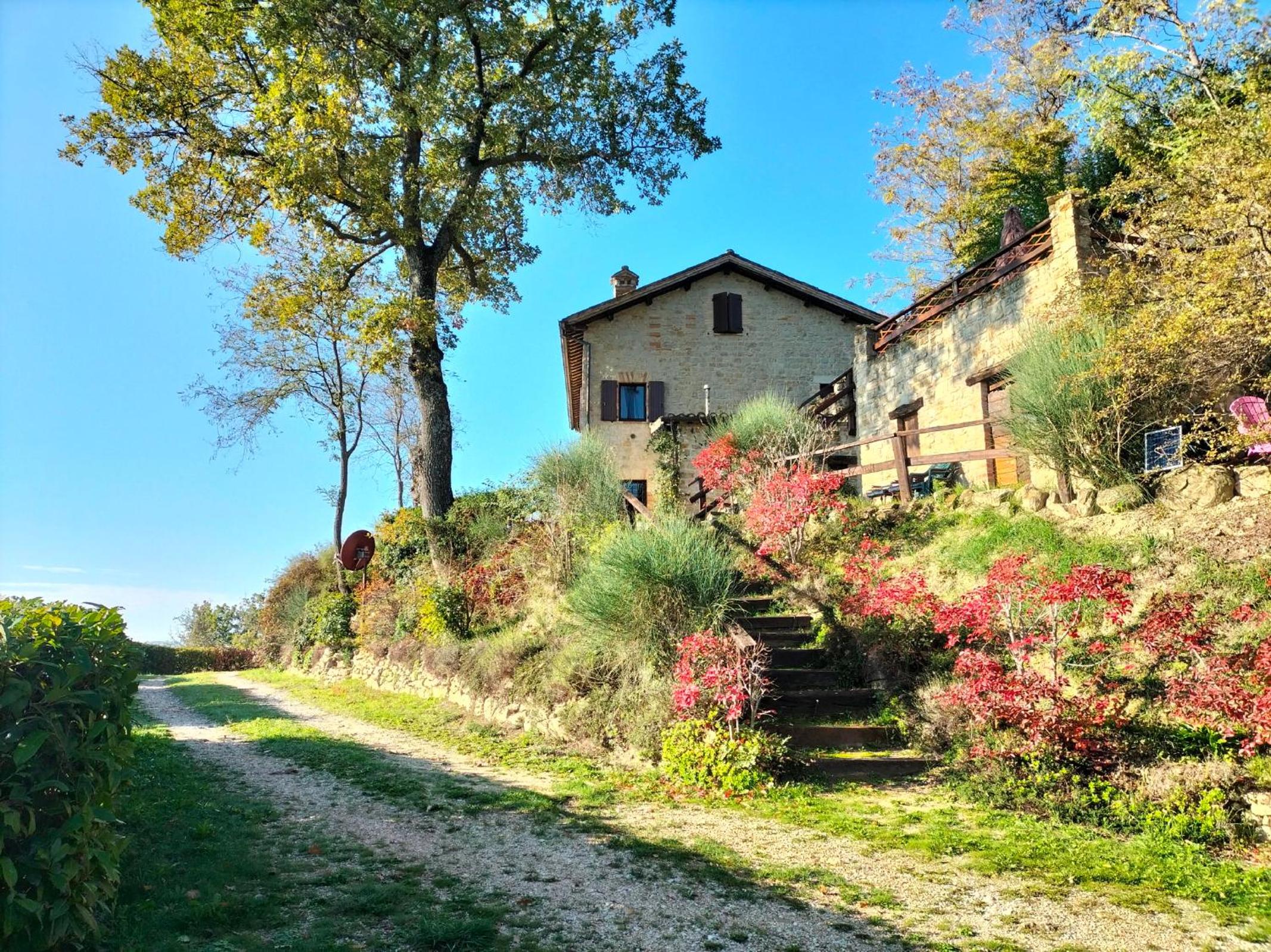 Old House