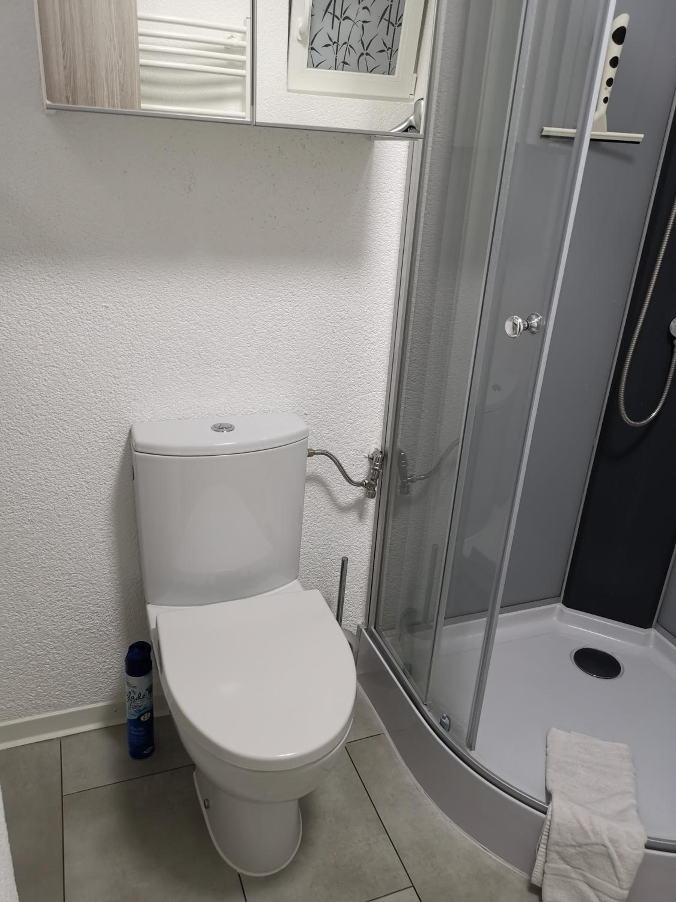 Ferienwohnung Olpe Biggesee en Olpe — bathroom